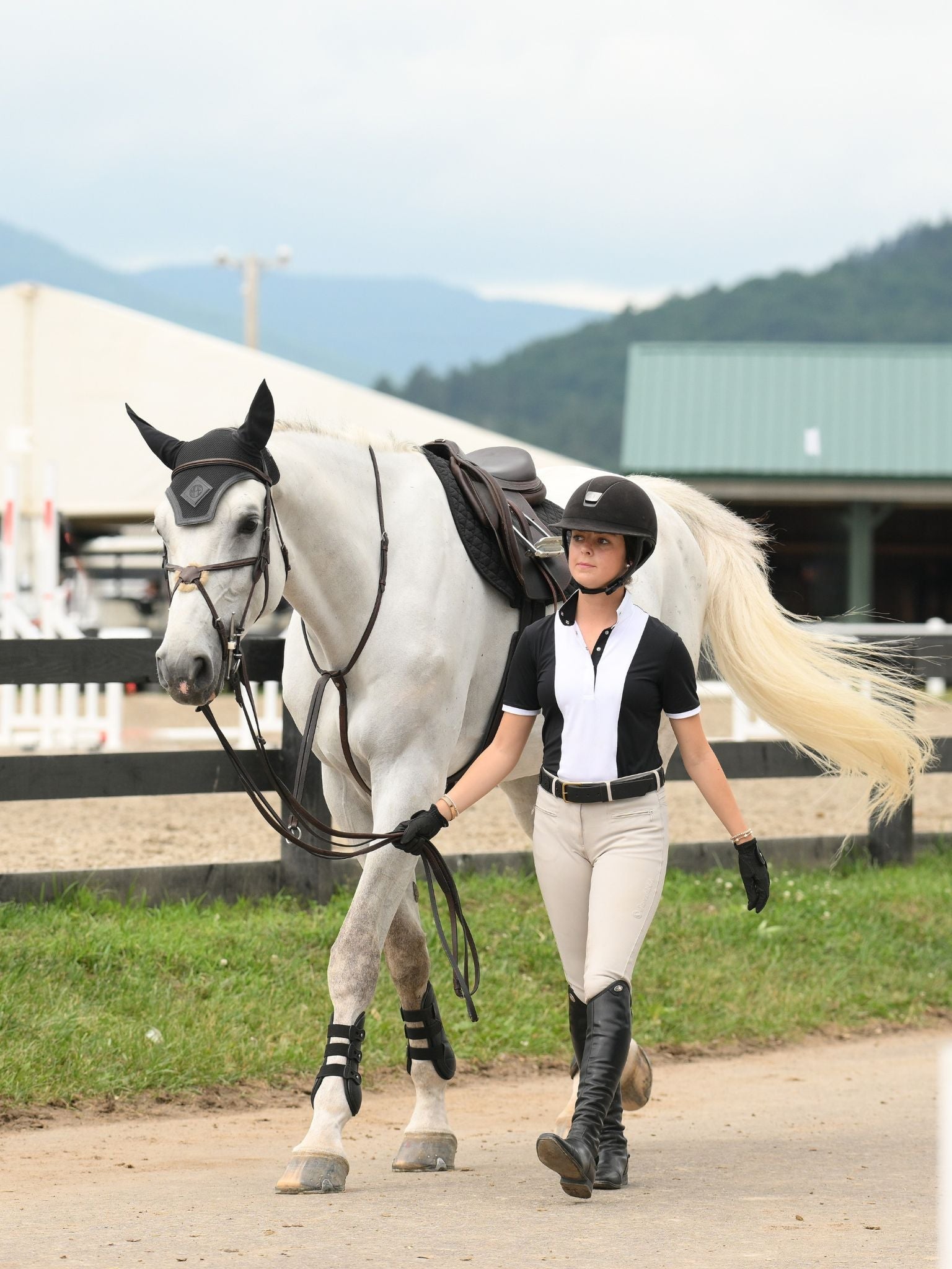 Essex Classics Ladies "Luna II" Black Self - Trim Short Sleeve Performance Show Shirt - Essex Classics - Equiluxe Tack
