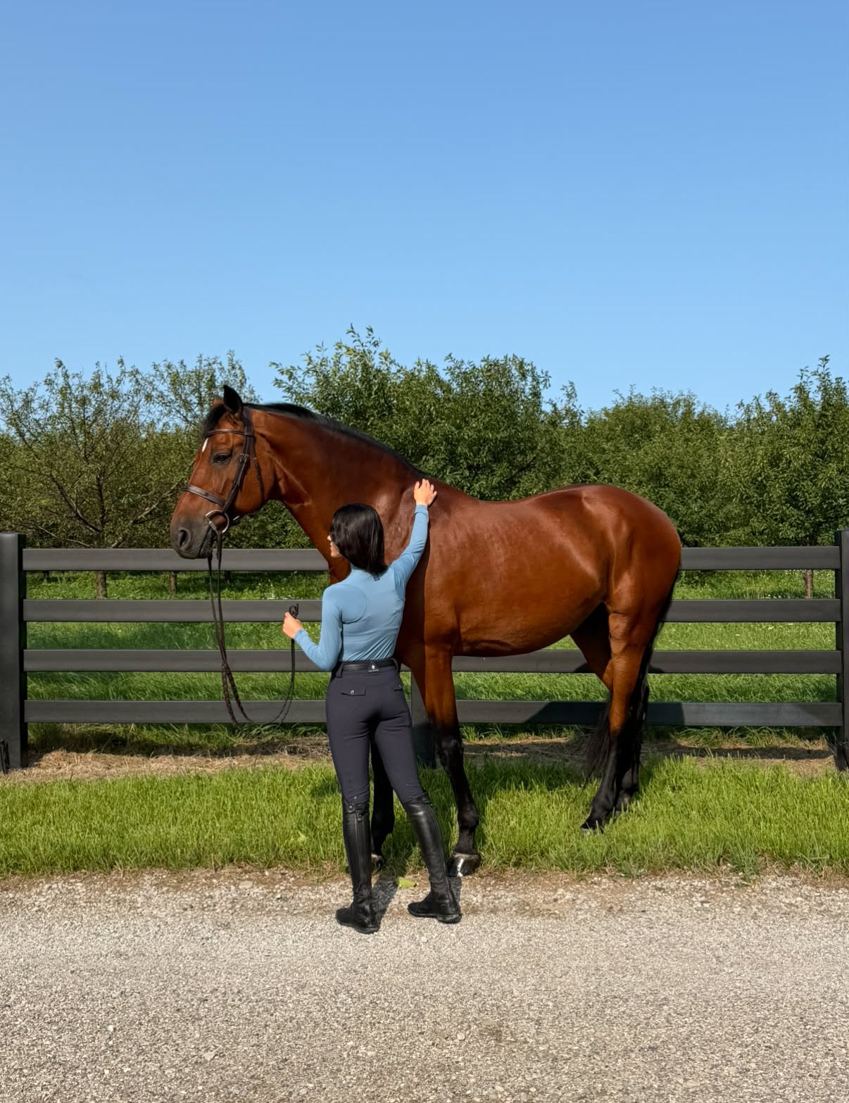 Euphoric Equestrian Clara Turtleneck Shirt - Equiluxe Tack