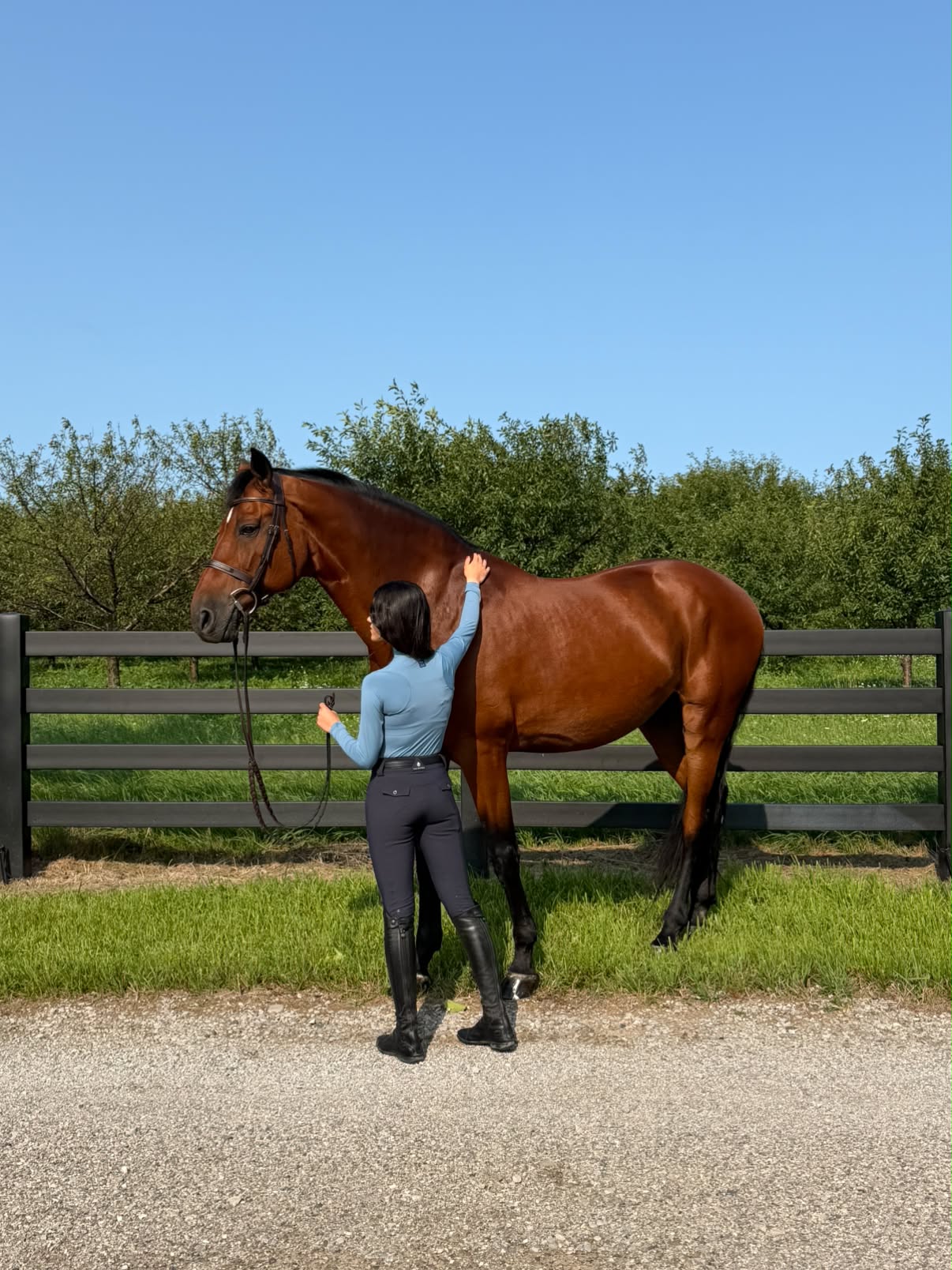 Euphoric Equestrian Clara Turtleneck Shirt - Equiluxe Tack