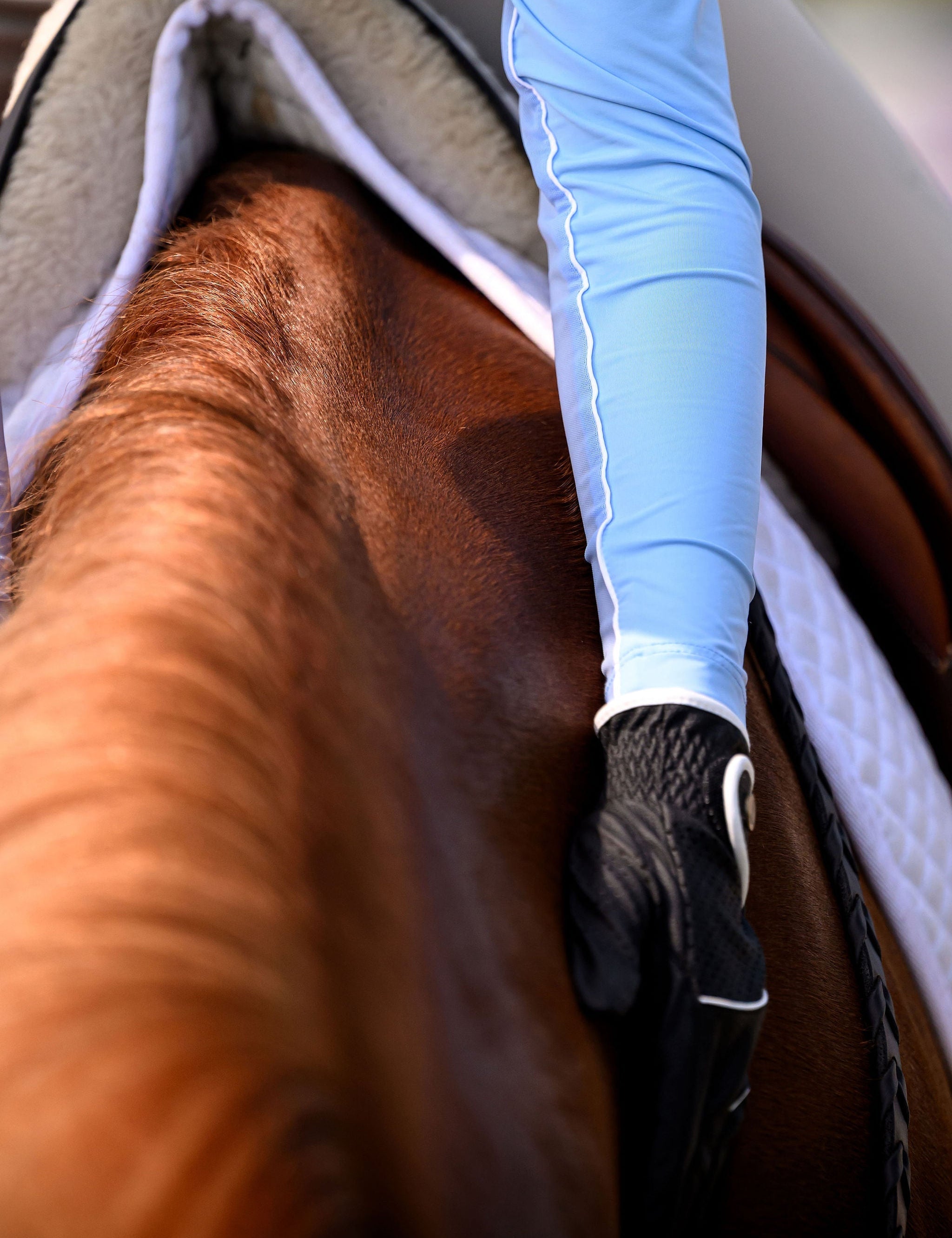 Euphoric Equestrian Clara Turtleneck Shirt - Equiluxe Tack