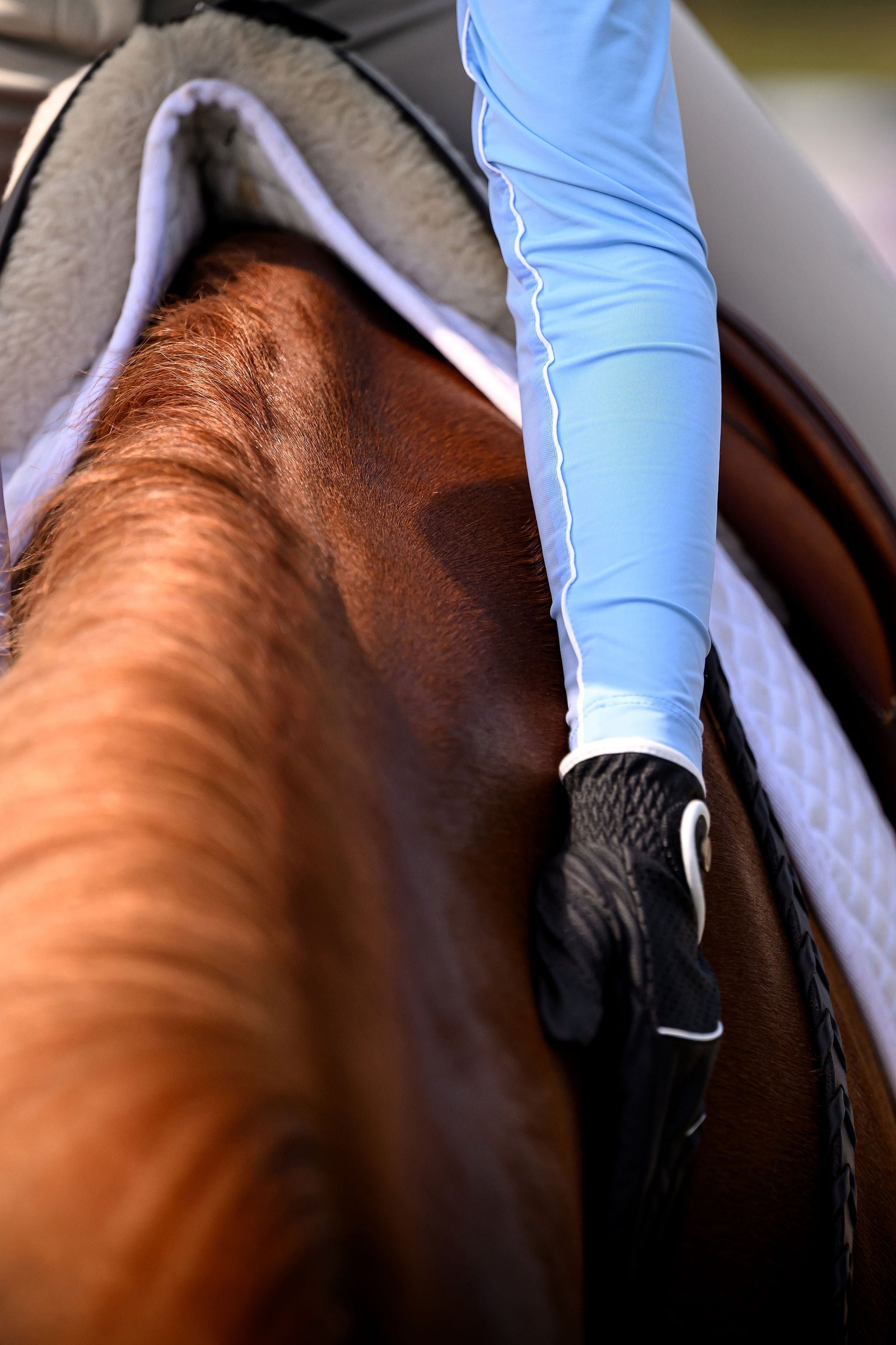 Euphoric Equestrian Clara Turtleneck Shirt - Equiluxe Tack
