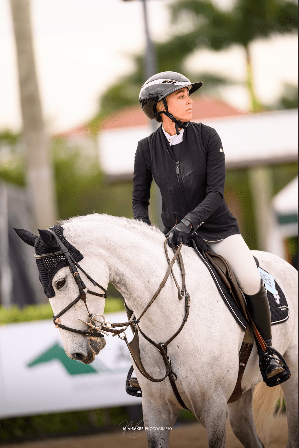 Euphoric Equestrian Palm Beach Competition Shirt, Black/Stripe - Euphoric Equestrian - Equiluxe Tack