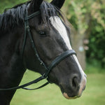 EZ Harmony Bitless Noseband Bridle Converter - Equiluxe Tack - Equiluxe Tack