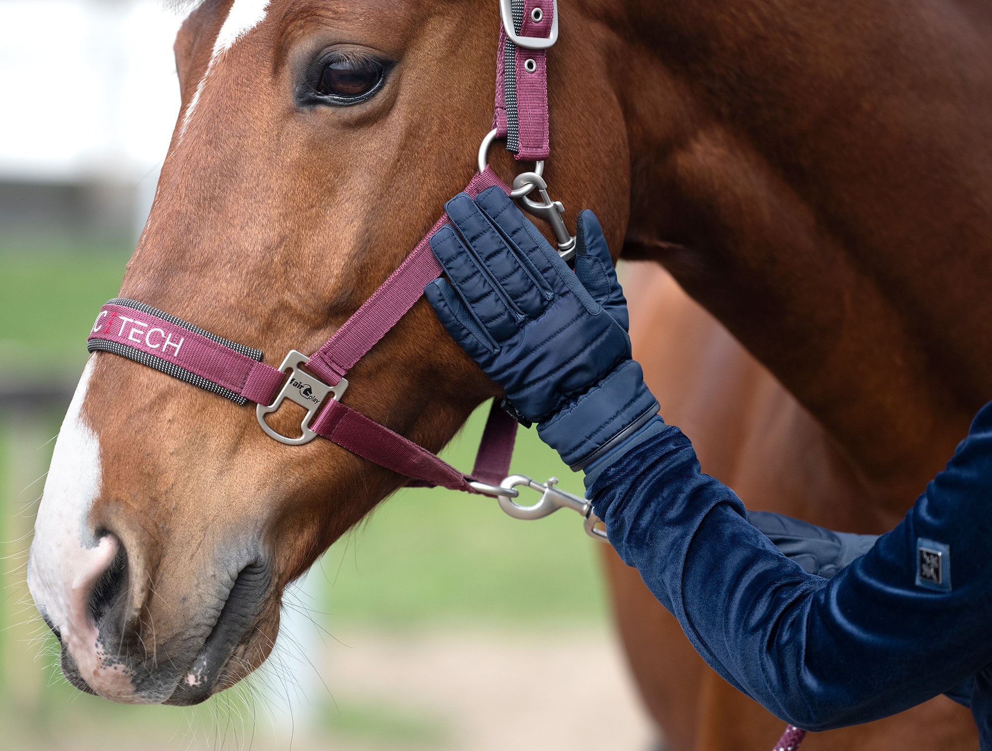 Fair Play "Dagmar" Leather Winter Riding Gloves - Fair Play - Equiluxe Tack