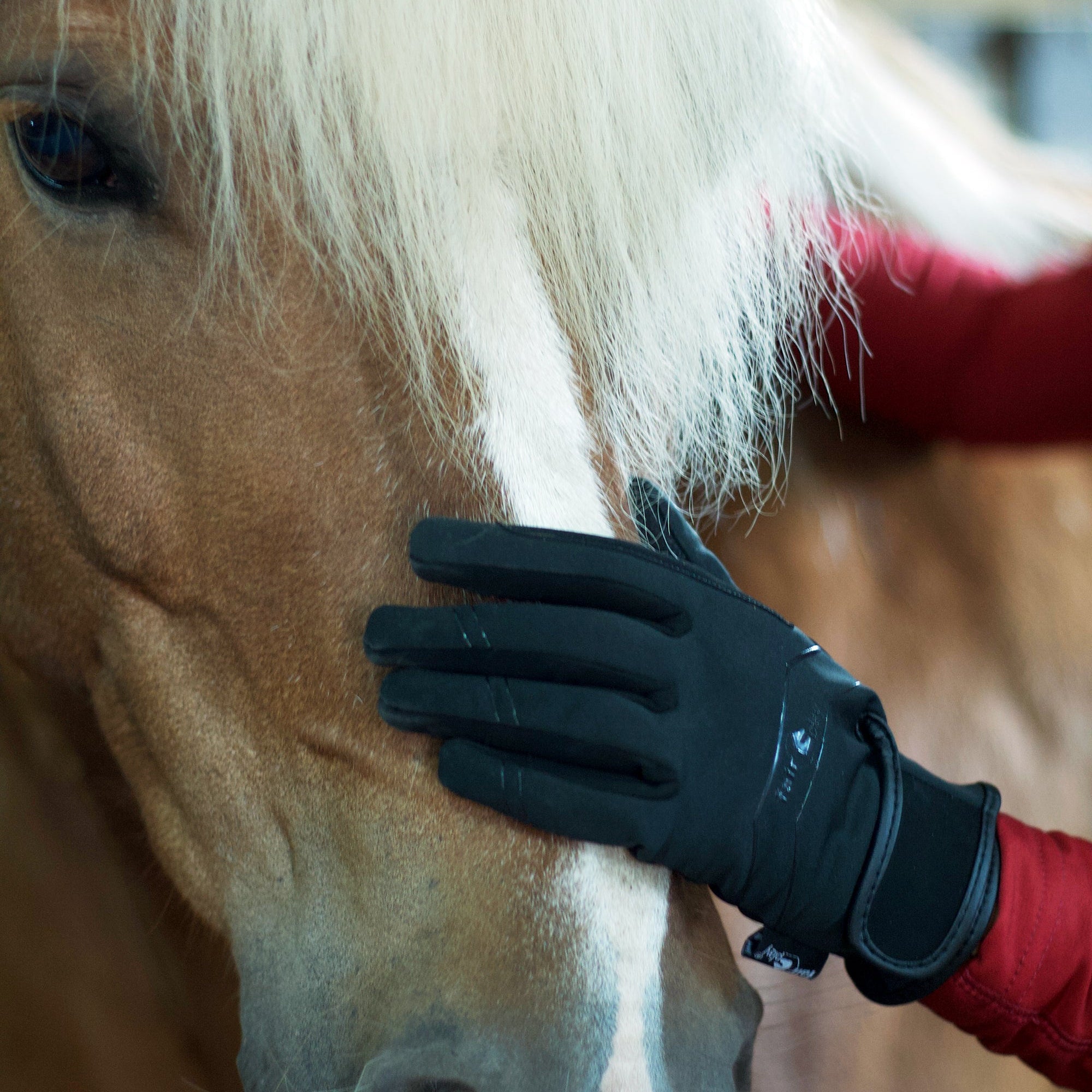 Fair Play "Grae" Winter Riding Gloves - Fair Play - Equiluxe Tack