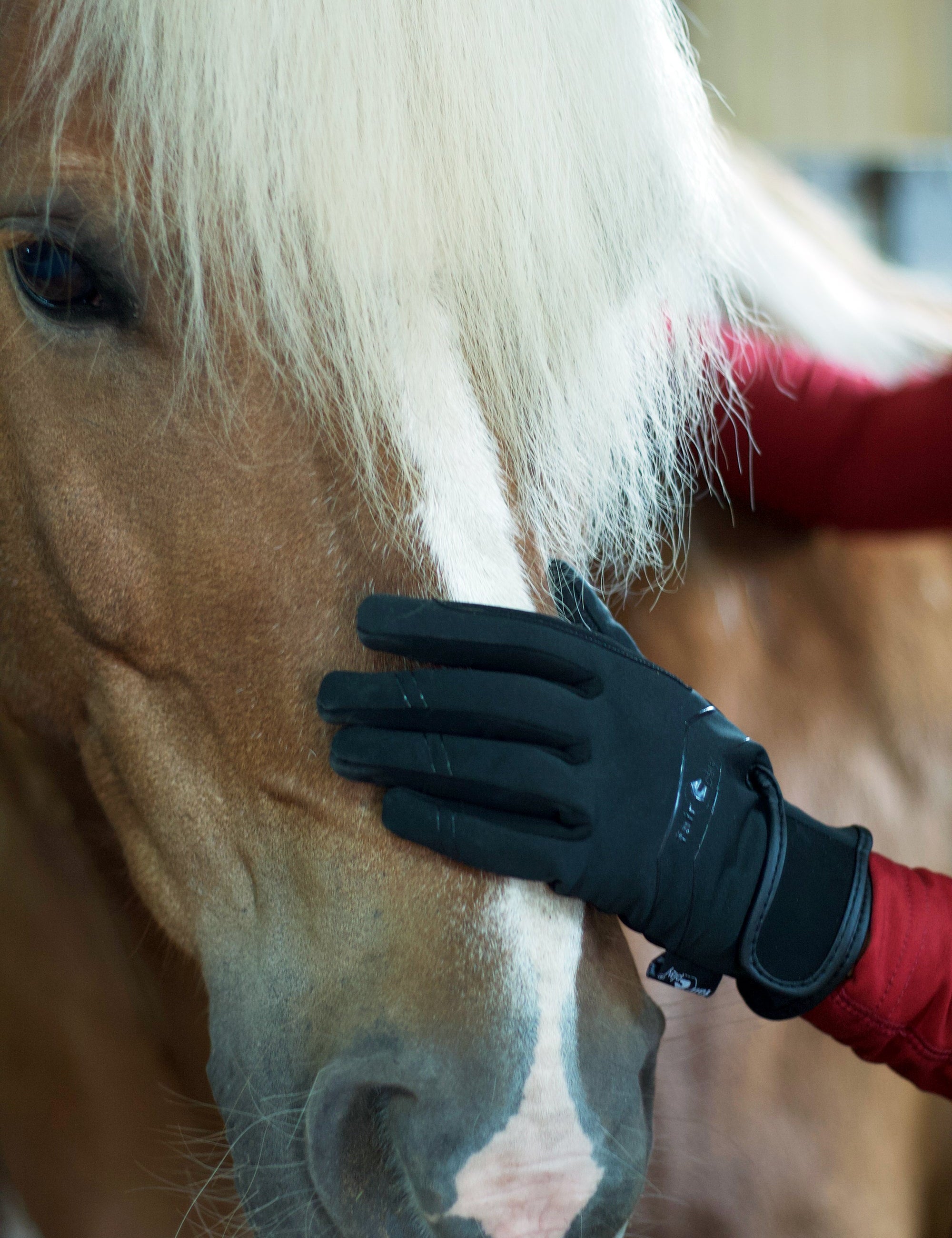 Fair Play "Grae" Winter Riding Gloves - Fair Play - Equiluxe Tack