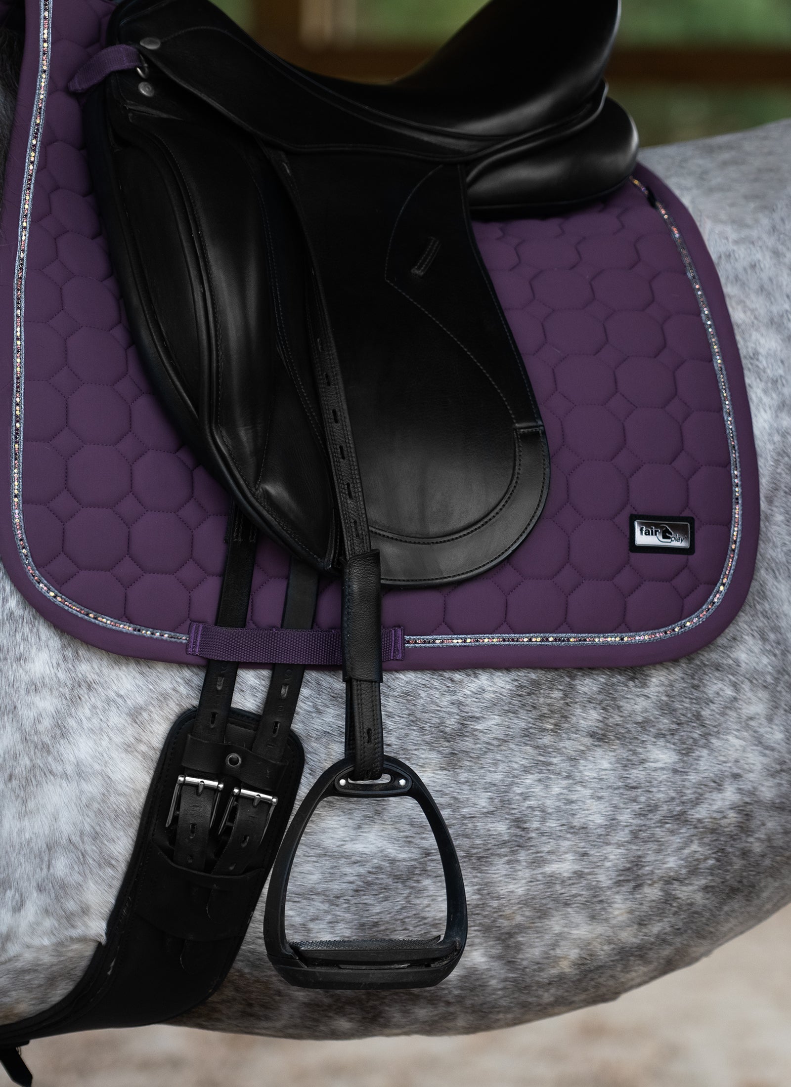 Fair Play "Jaspar" Eggplant Saddle Pad - Jump & Dressage - Fair Play - Equiluxe Tack