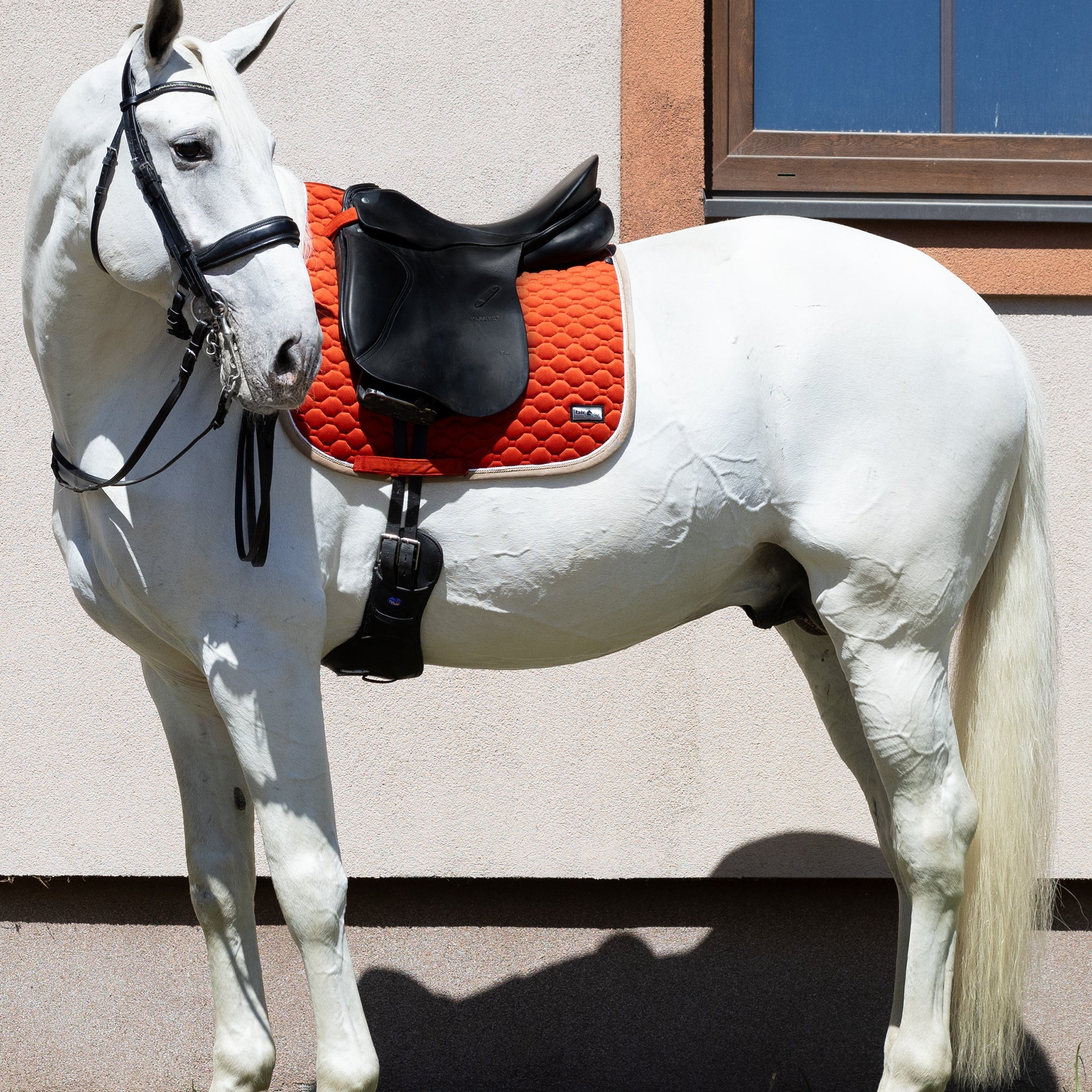 Fair Play "Onyx" Terra Red & Taupe Close Contact Saddle Pad - Fair Play - Equiluxe Tack