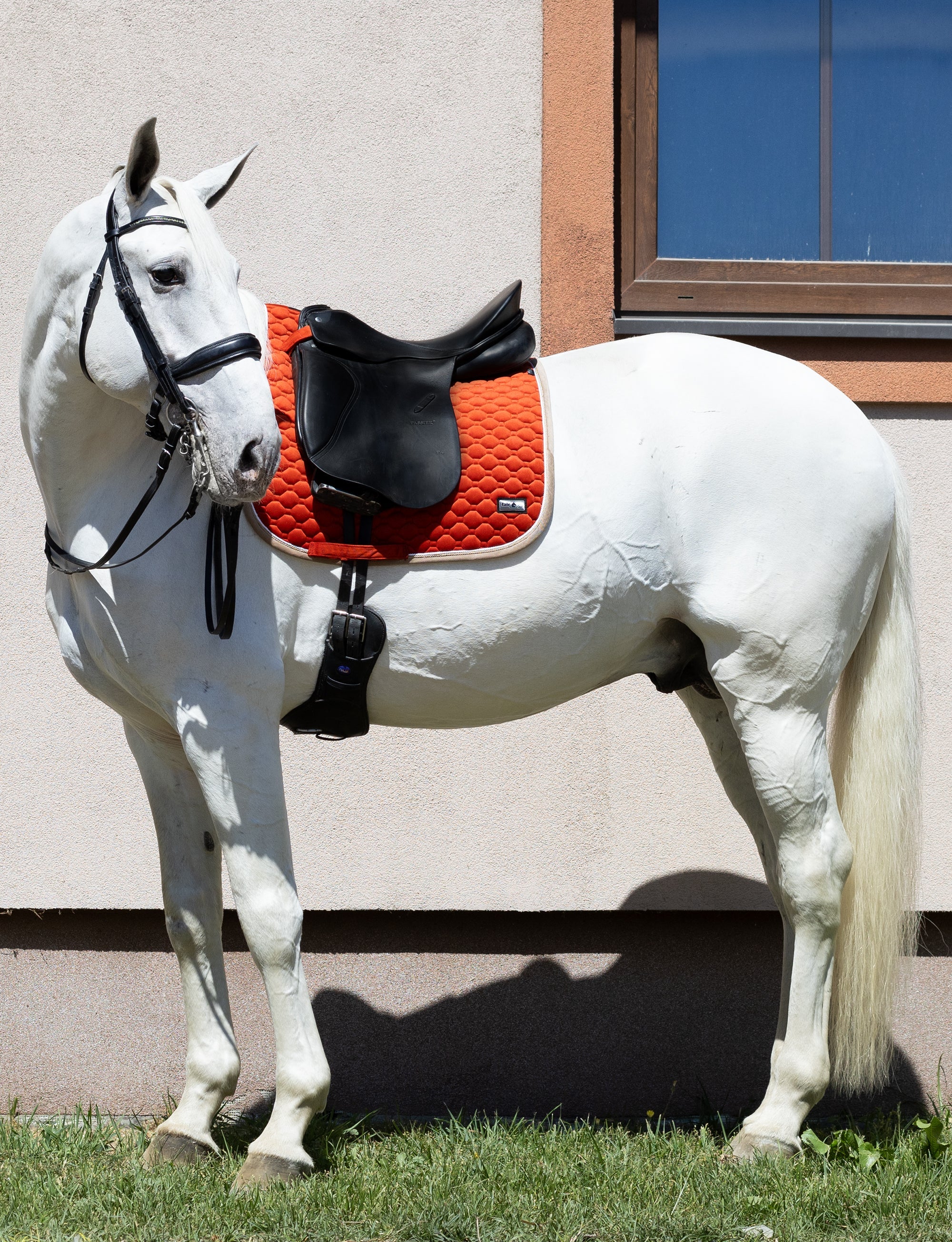 Fair Play "Onyx" Terra Red & Taupe Dressage Saddle Pad - Fair Play - Equiluxe Tack