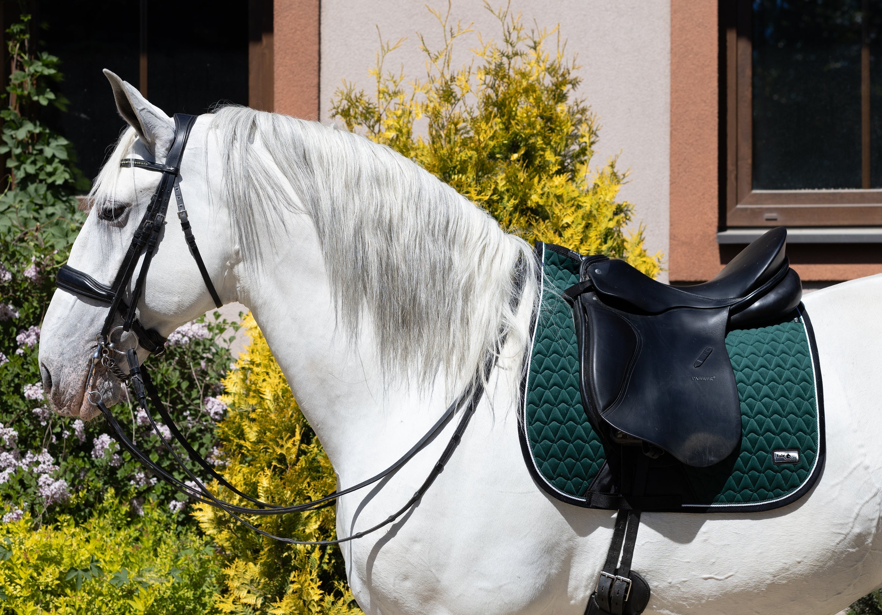 Fair Play "Oregon" Green All Purpose Saddle Pad - Fair Play - Equiluxe Tack