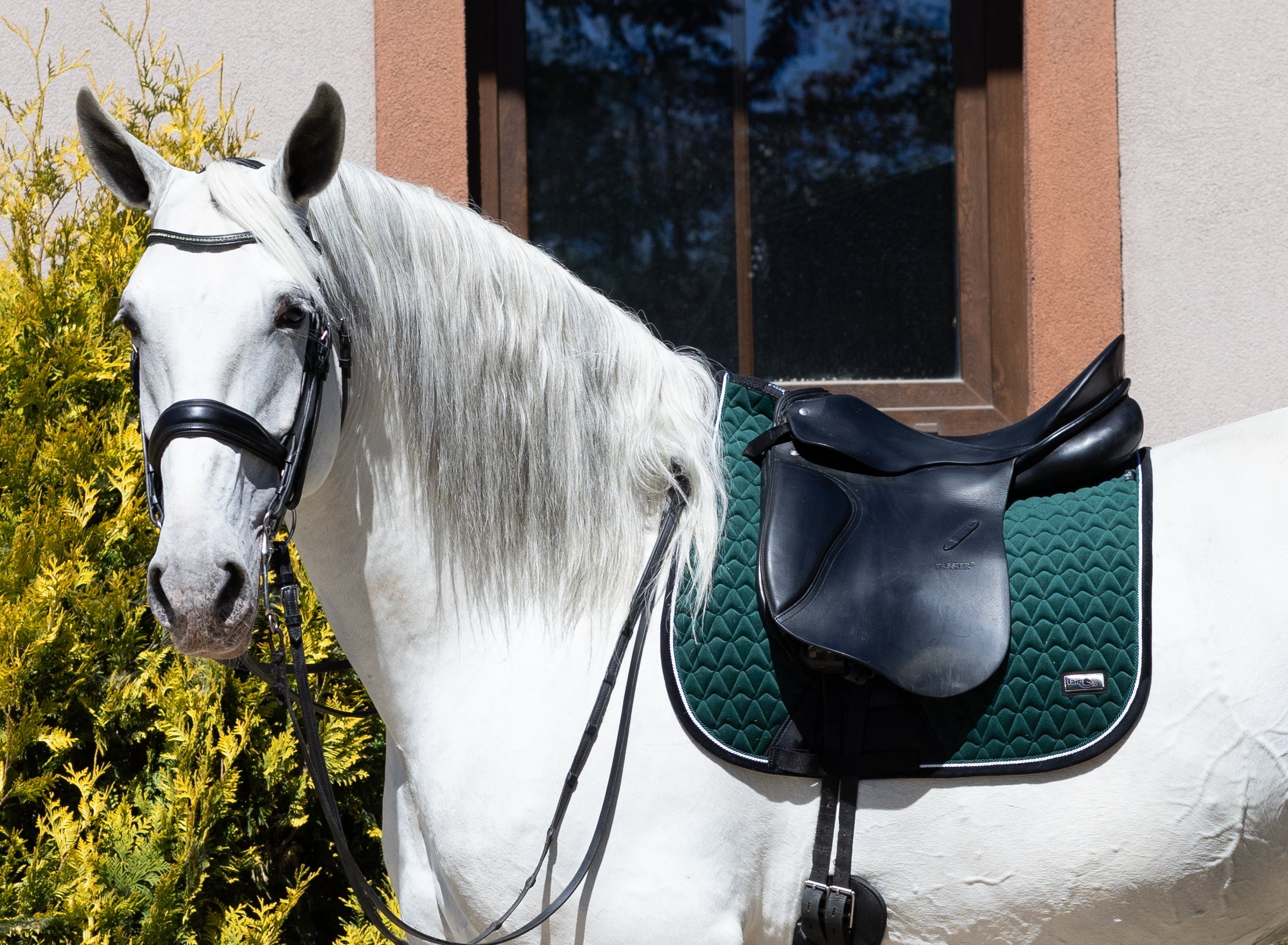 Fair Play "Oregon" Green Dressage Saddle Pad - Fair Play - Equiluxe Tack