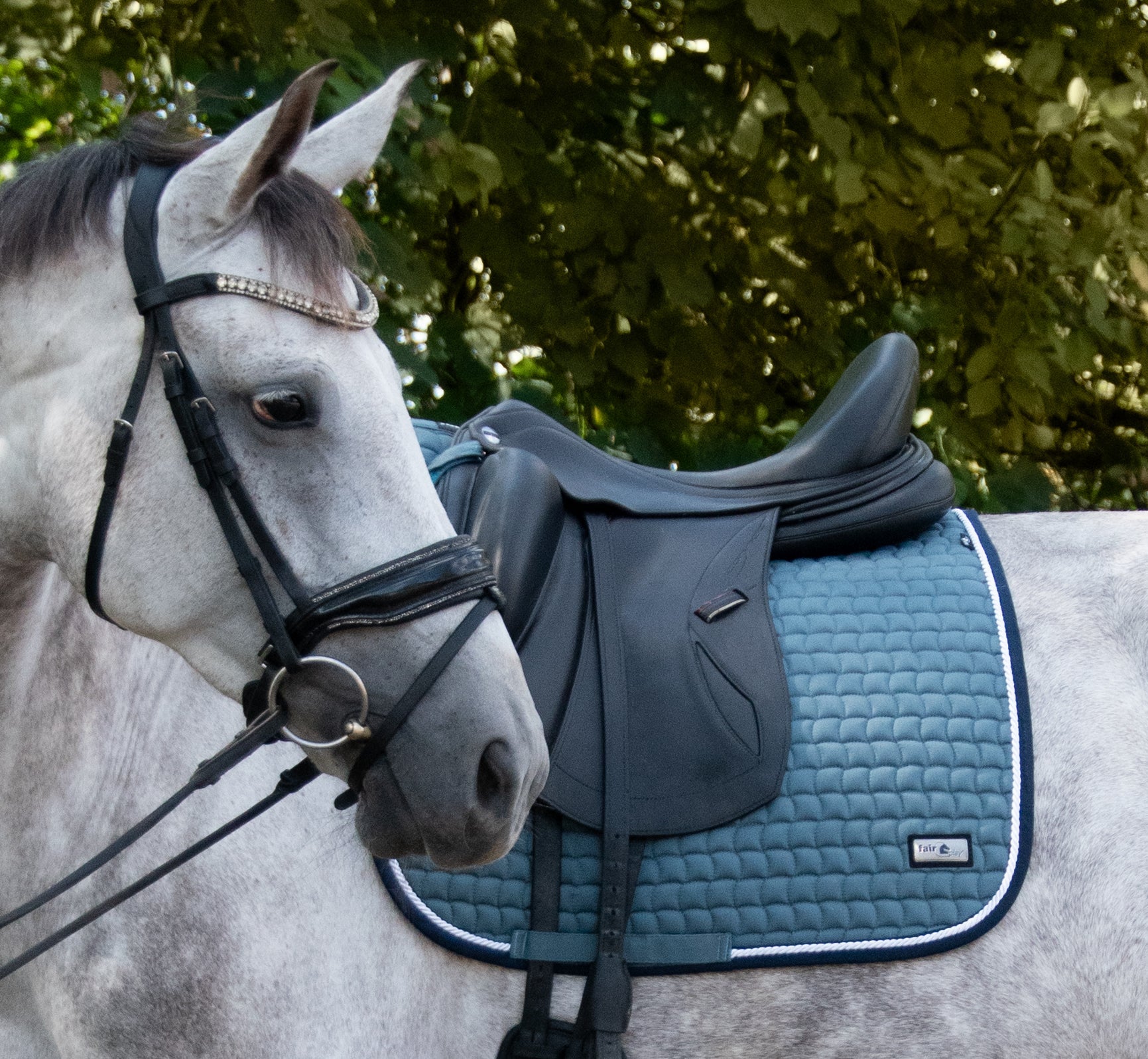 Fair Play "Sirius" Storm Green Dressage Saddle Pad - Fair Play - Equiluxe Tack