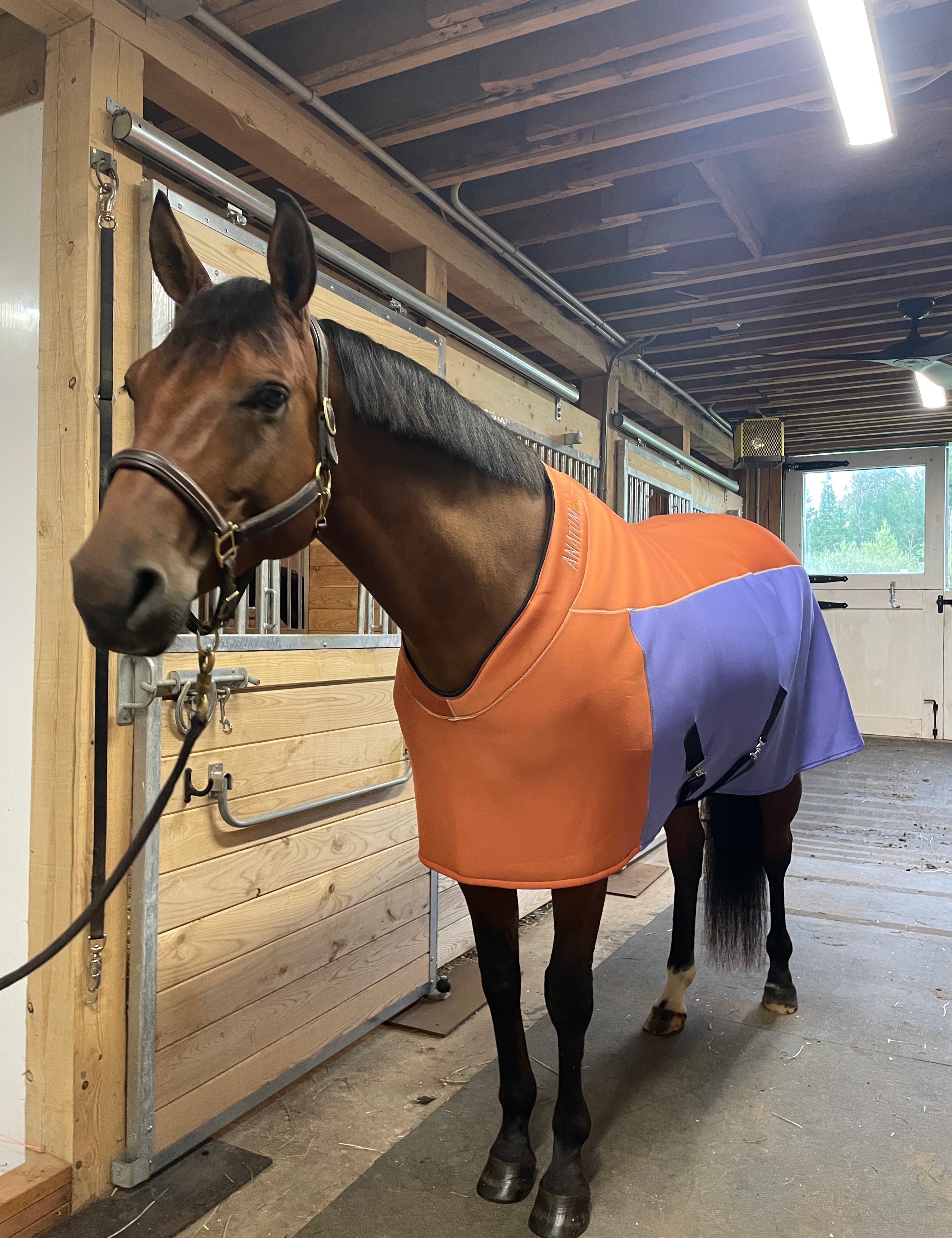 Fit Blanket - ColorBlock Edition - Anatomeq - Equiluxe Tack
