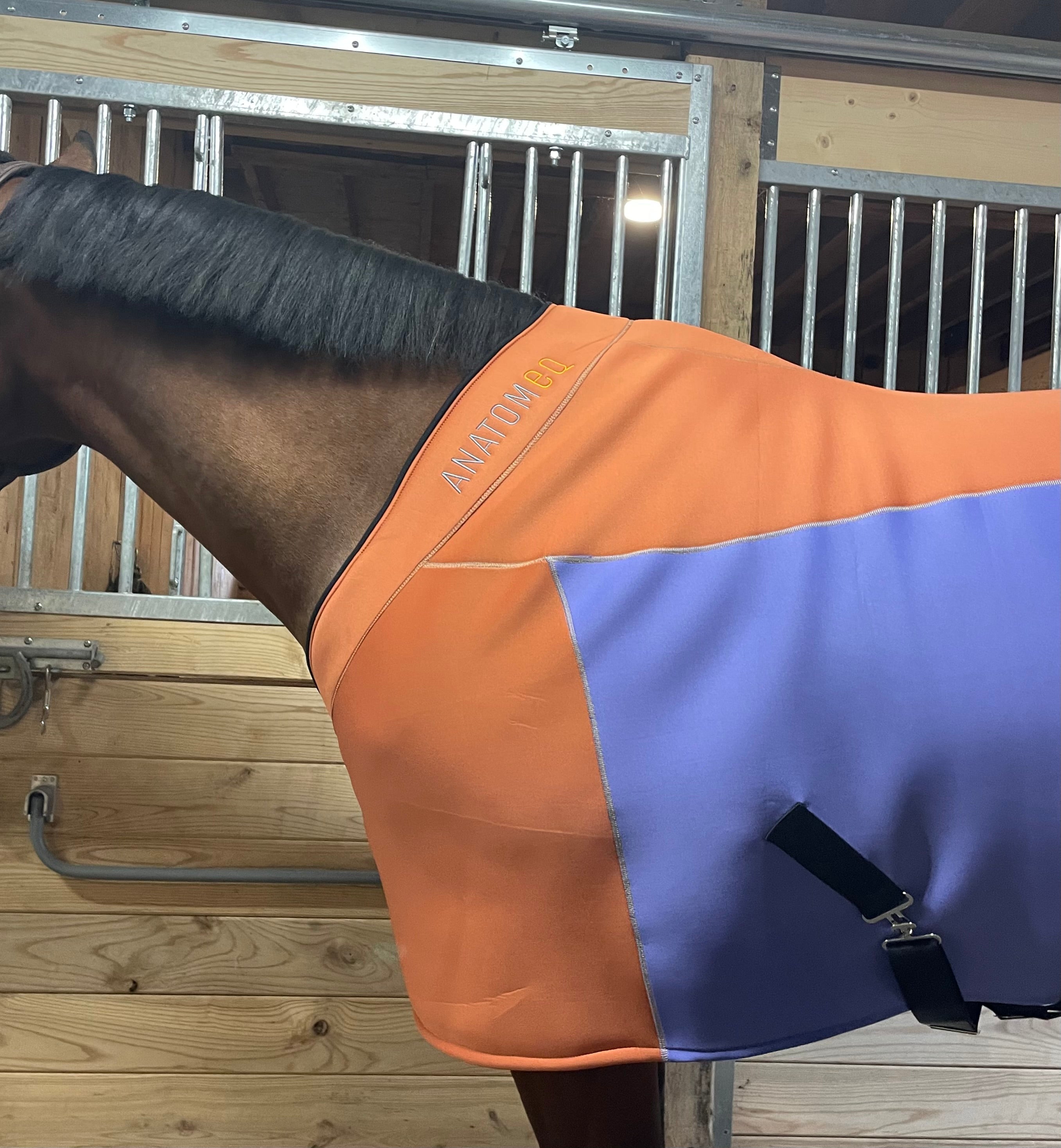 Fit Blanket - ColorBlock Edition - Anatomeq - Equiluxe Tack