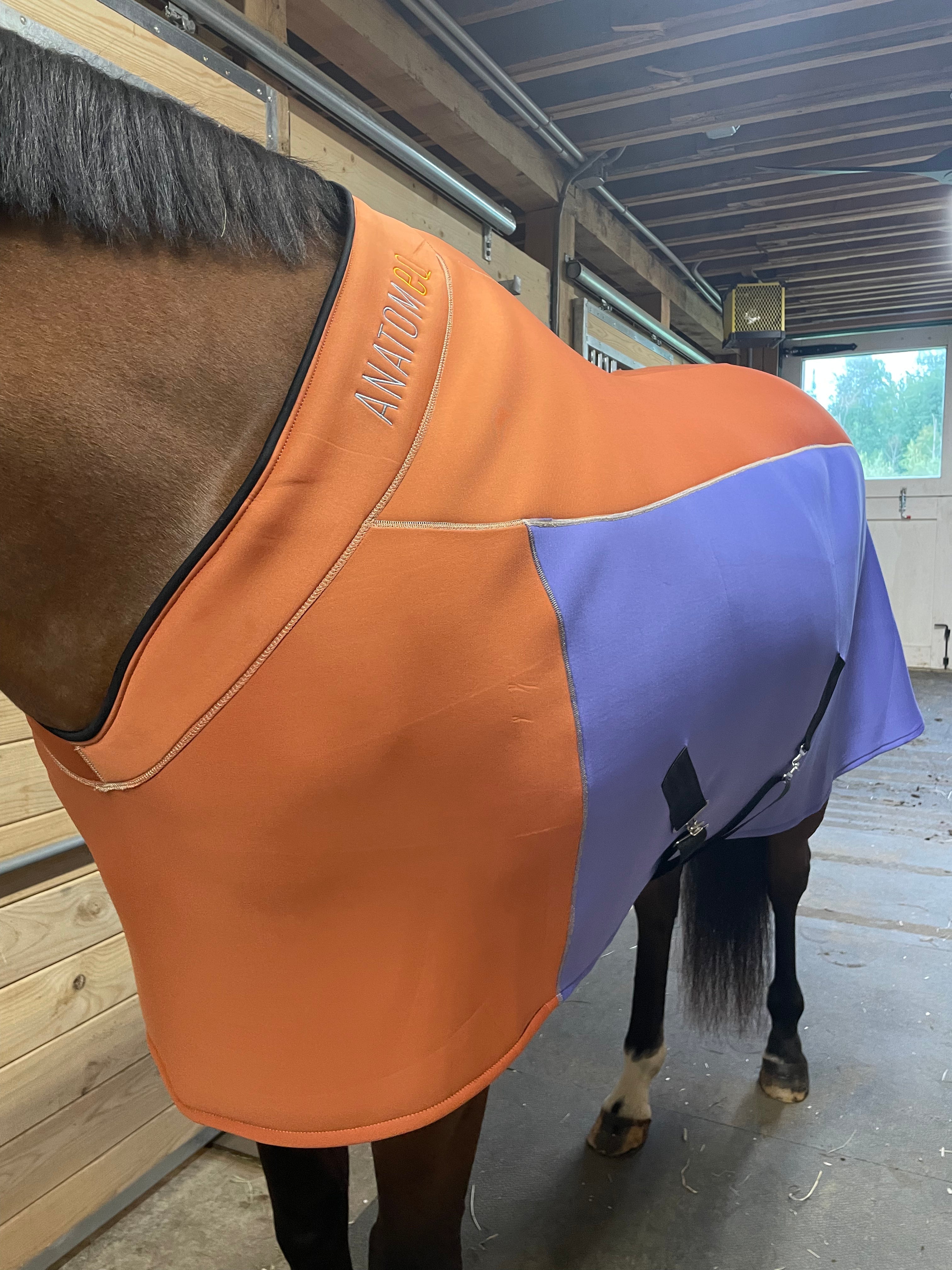 Fit Blanket - ColorBlock Edition - Anatomeq - Equiluxe Tack