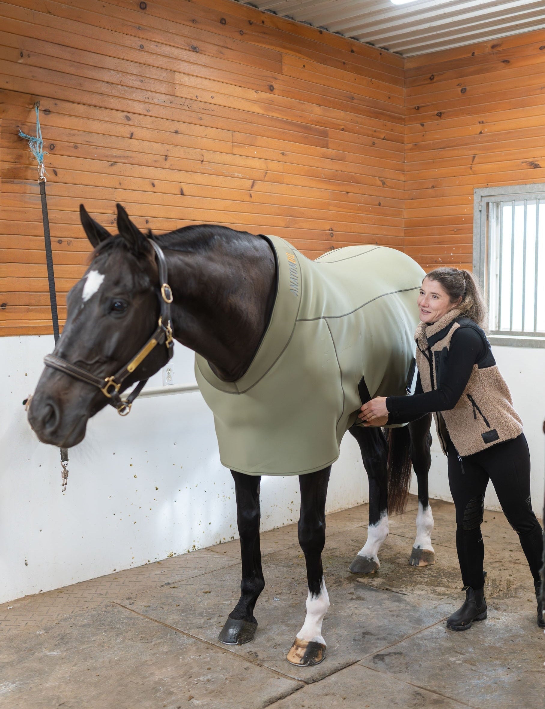 Fit Blanket - Anatomeq - Equiluxe Tack