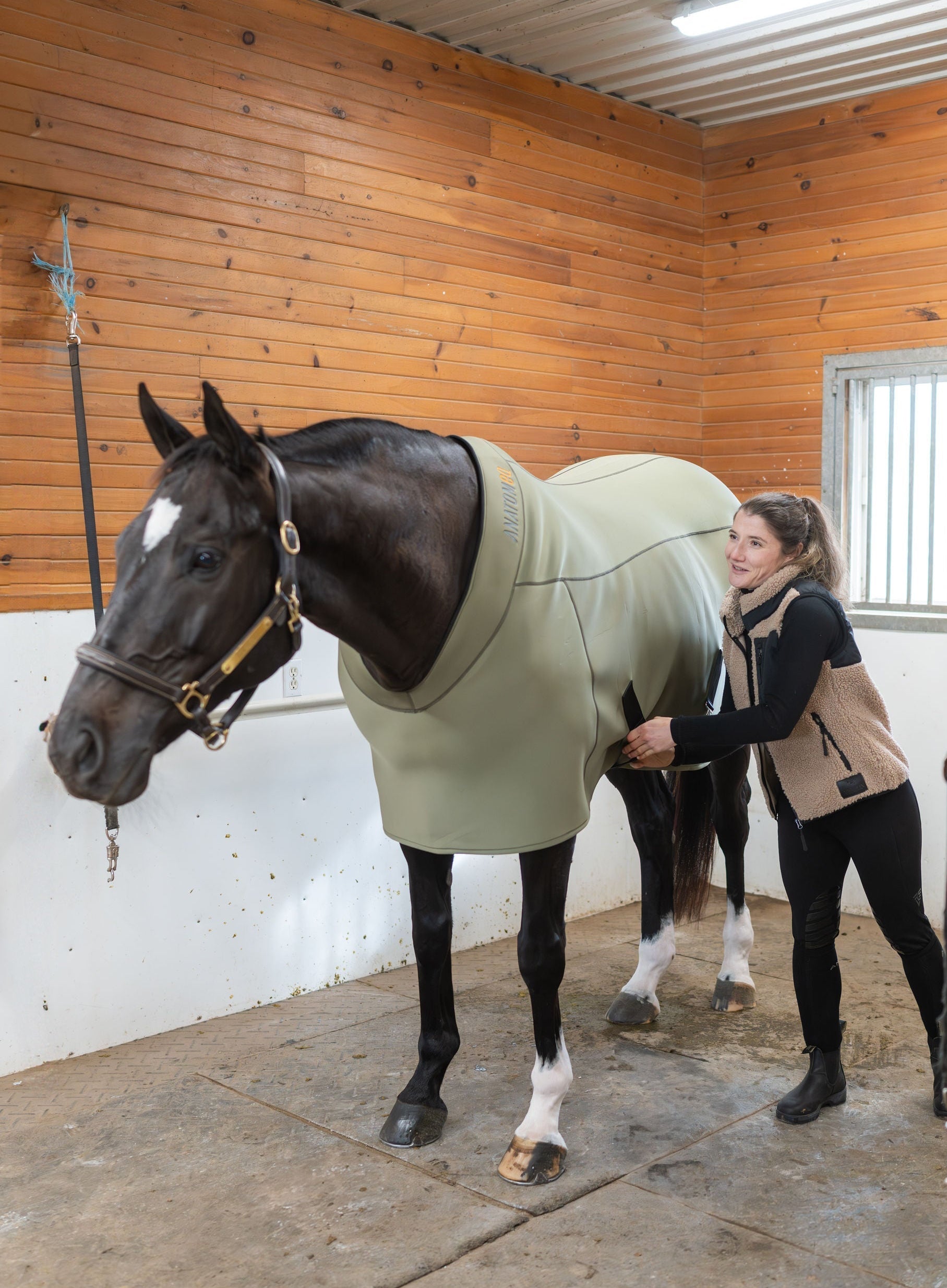 Fit Blanket - Anatomeq - Equiluxe Tack