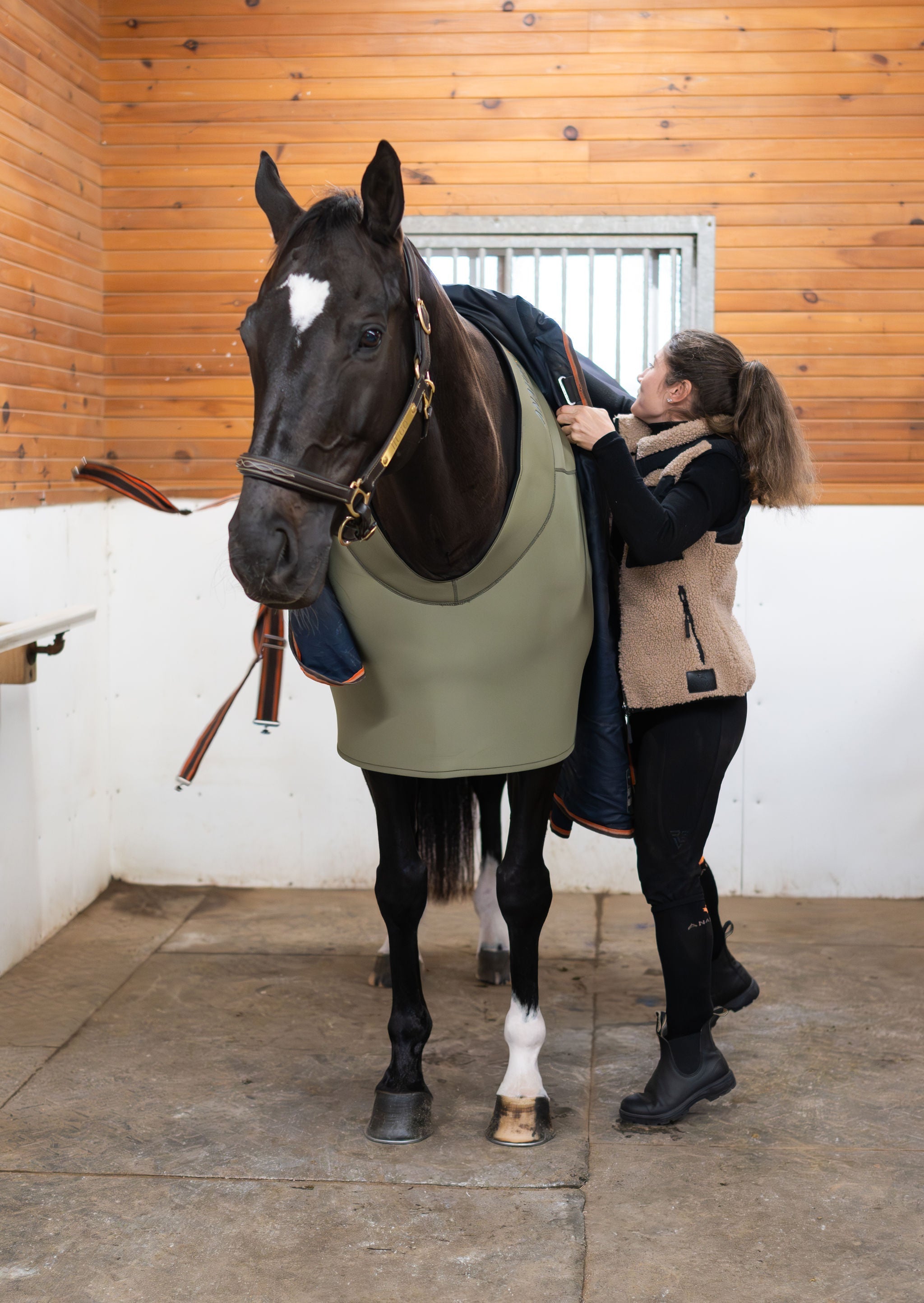 Fit Blanket - Anatomeq - Equiluxe Tack