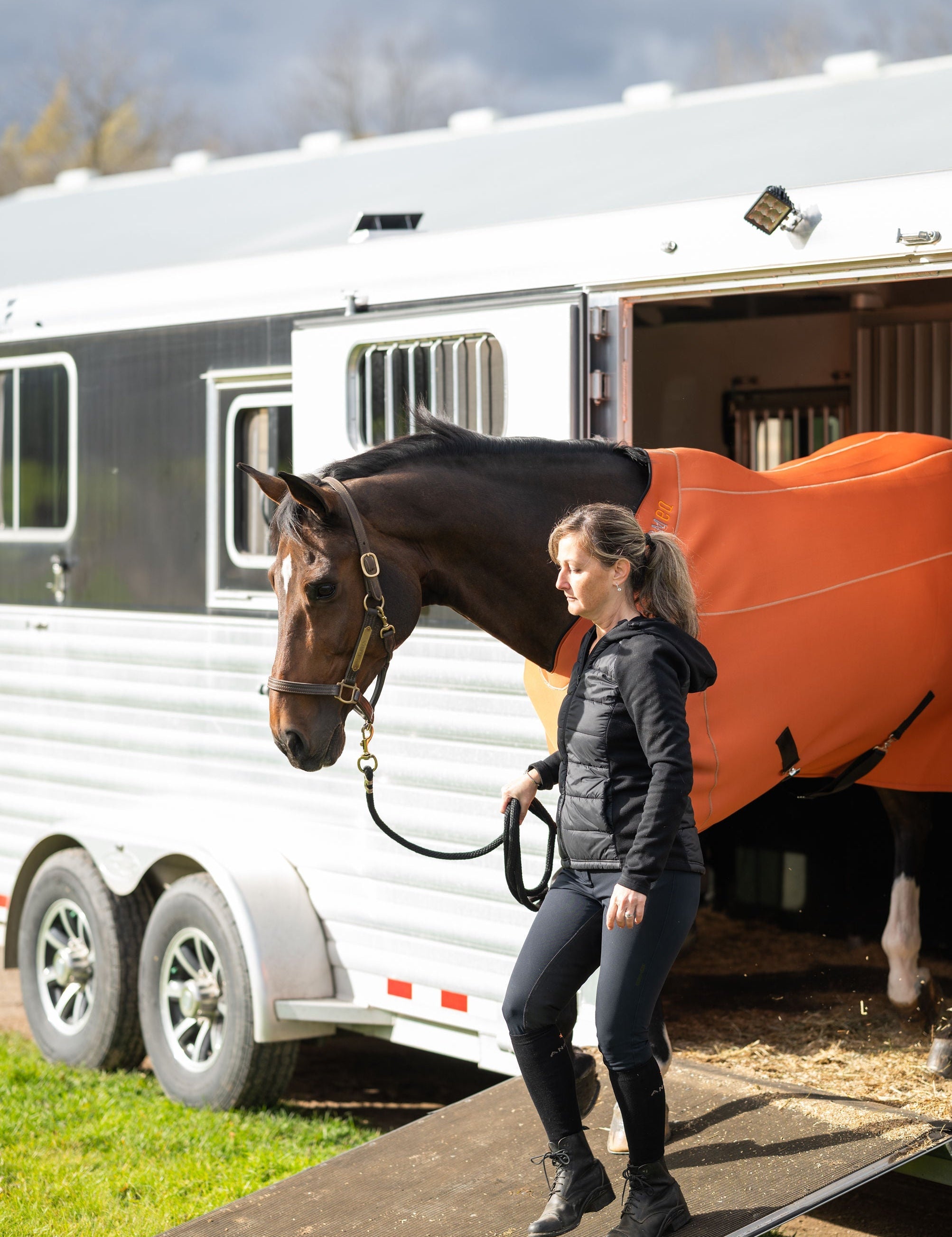 Fit Blanket - Anatomeq - Equiluxe Tack