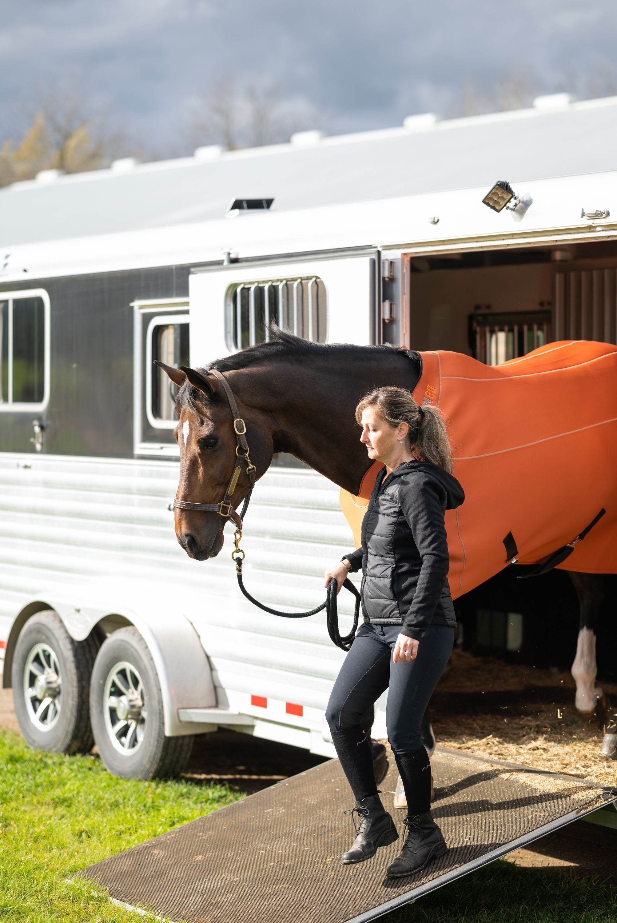 Fit Blanket - Anatomeq - Equiluxe Tack