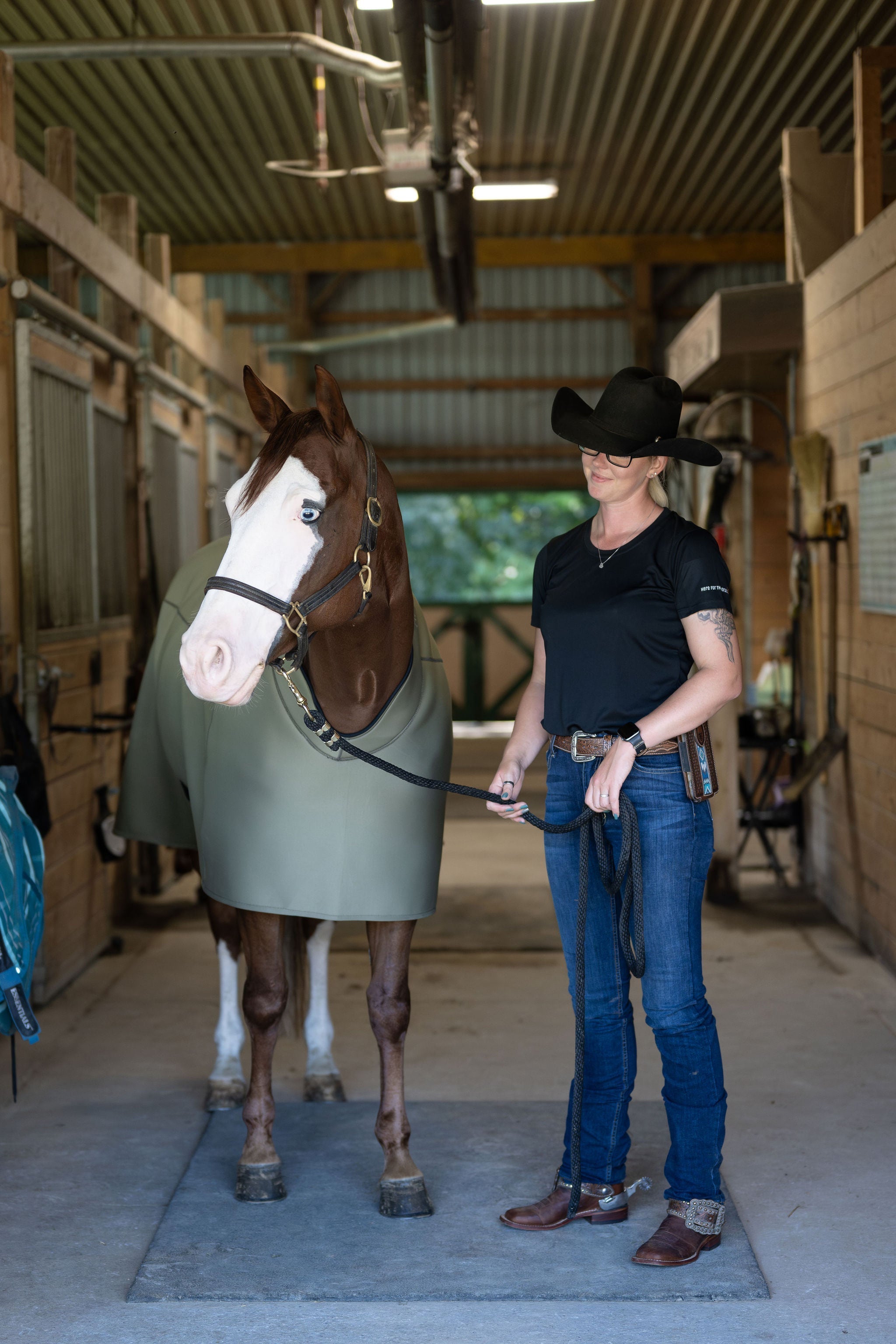 Fit Blanket - Anatomeq - Equiluxe Tack