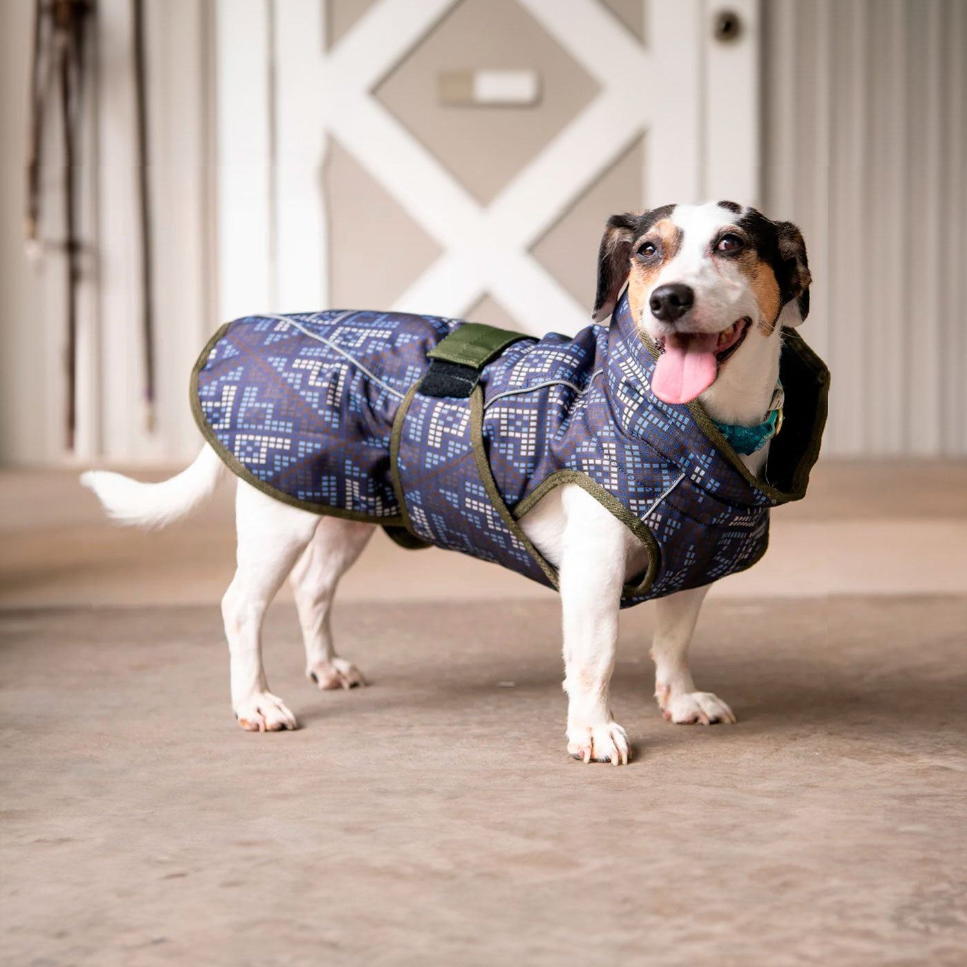 FITS All Weather Dog Coat - FITS Riding - Equiluxe Tack