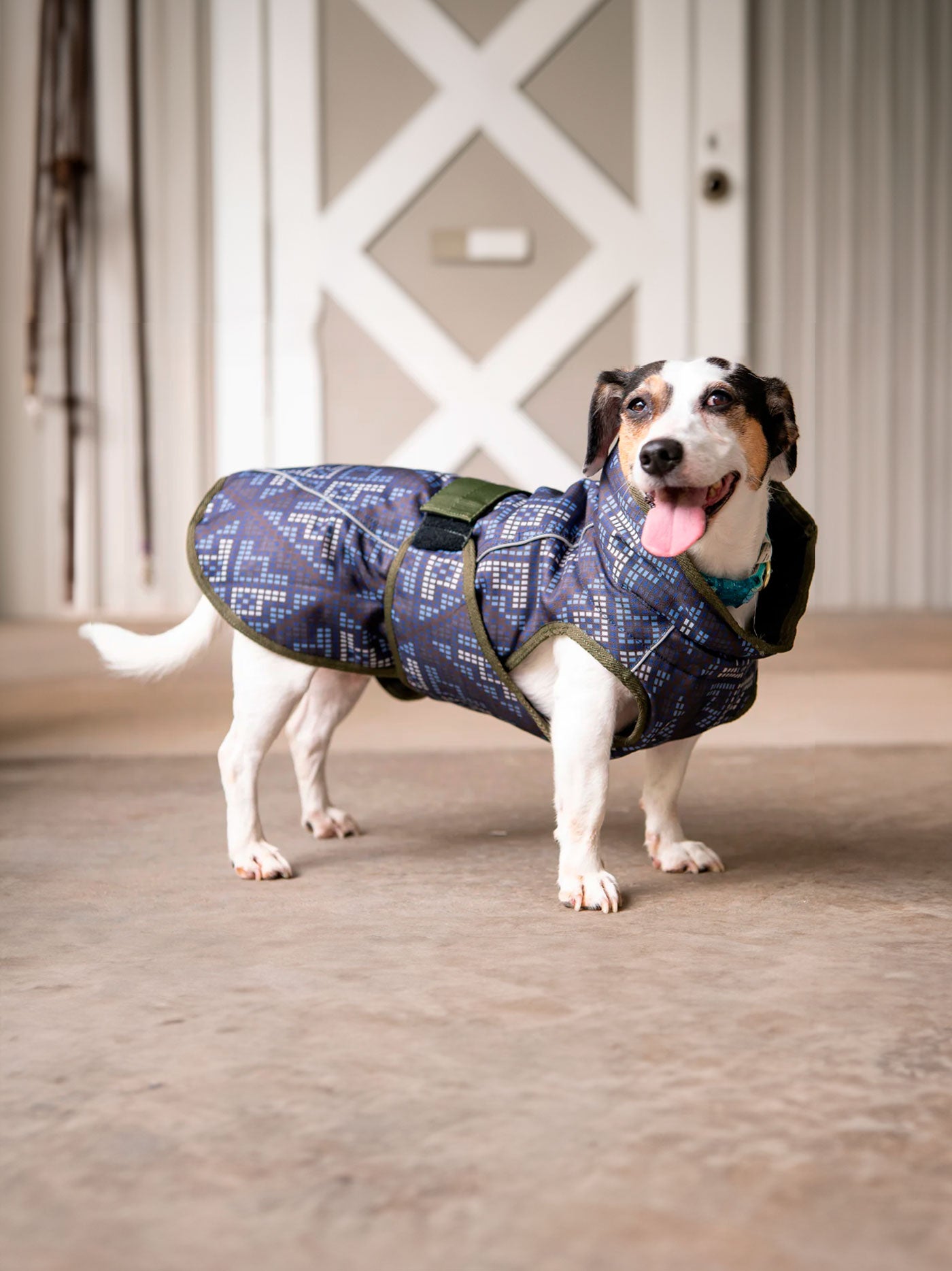 FITS All Weather Dog Coat - FITS Riding - Equiluxe Tack