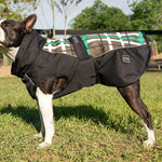 FITS All Weather Dog Coat - FITS Riding - Equiluxe Tack