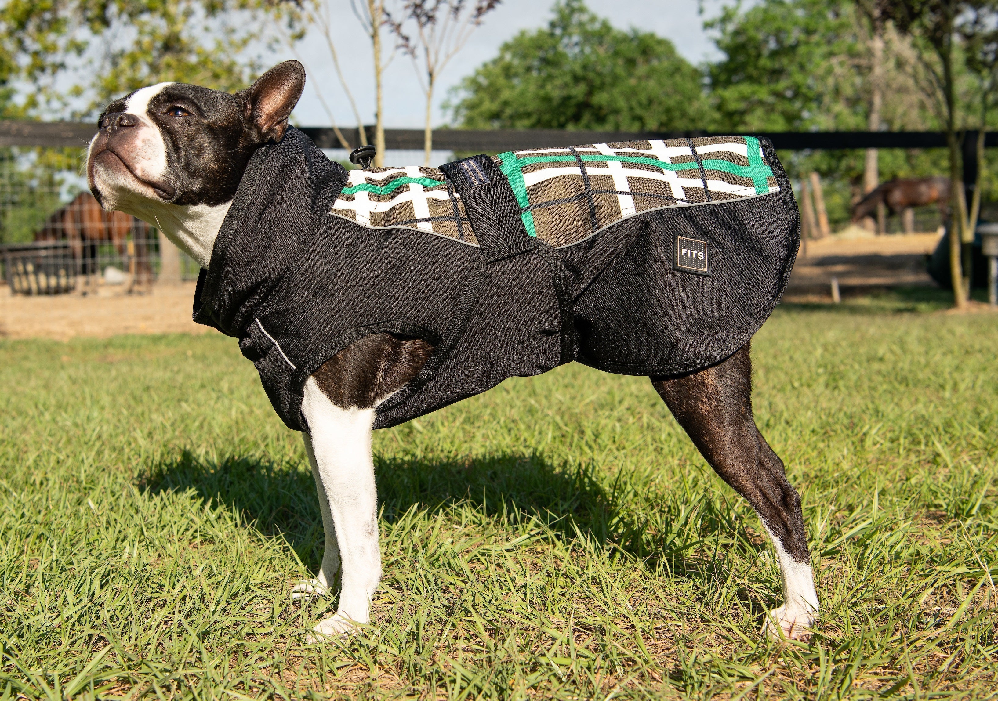 FITS All Weather Dog Coat - FITS Riding - Equiluxe Tack