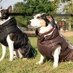 FITS All Weather Dog Coat - FITS Riding - Equiluxe Tack