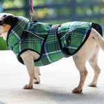 FITS All Weather Dog Coat - FITS Riding - Equiluxe Tack