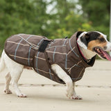 FITS All Weather Dog Coat - FITS Riding - Equiluxe Tack