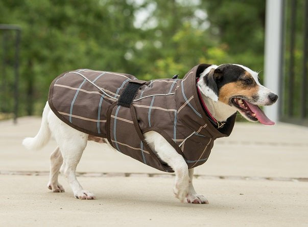 FITS All Weather Dog Coat - FITS Riding - Equiluxe Tack