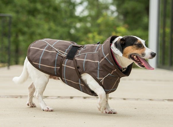 FITS All Weather Dog Coat - FITS Riding - Equiluxe Tack