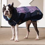 FITS All Weather Dog Coat - FITS Riding - Equiluxe Tack