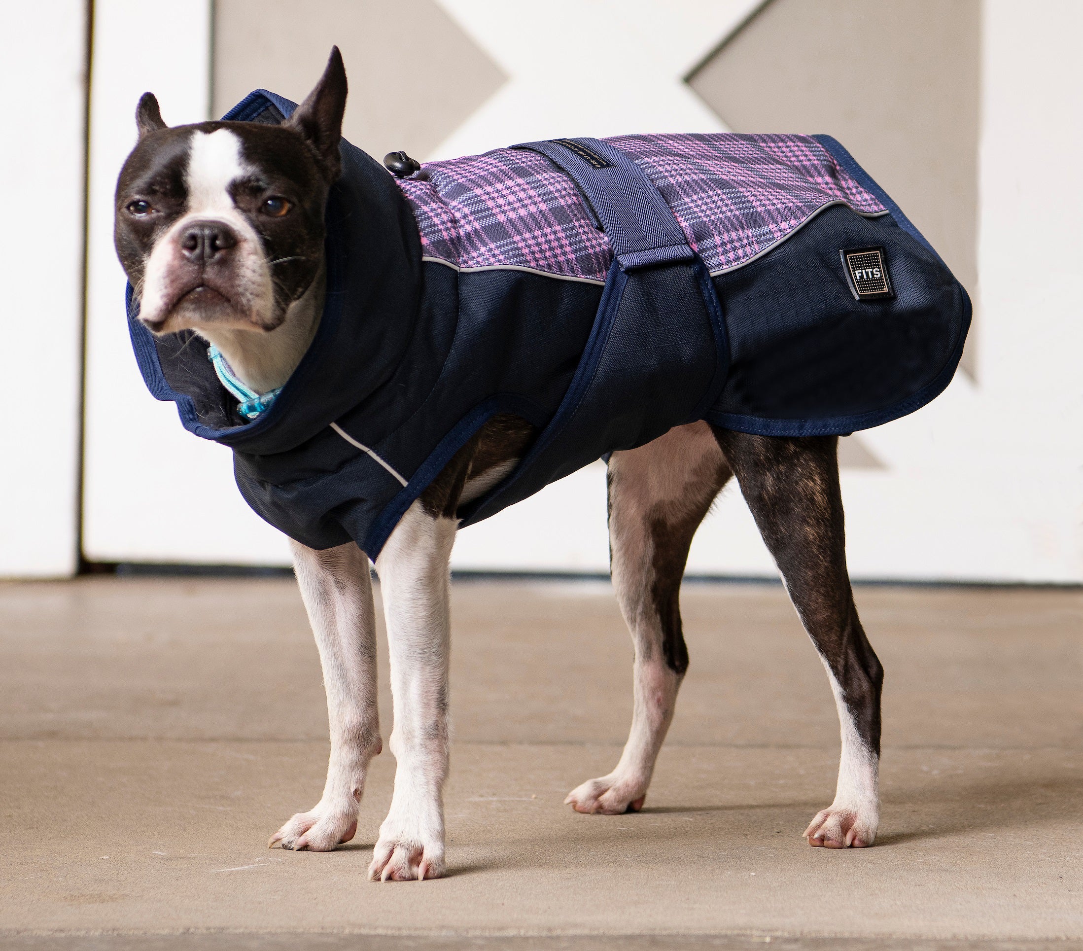 FITS All Weather Dog Coat - FITS Riding - Equiluxe Tack