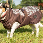 FITS All Weather Dog Coat - FITS Riding - Equiluxe Tack