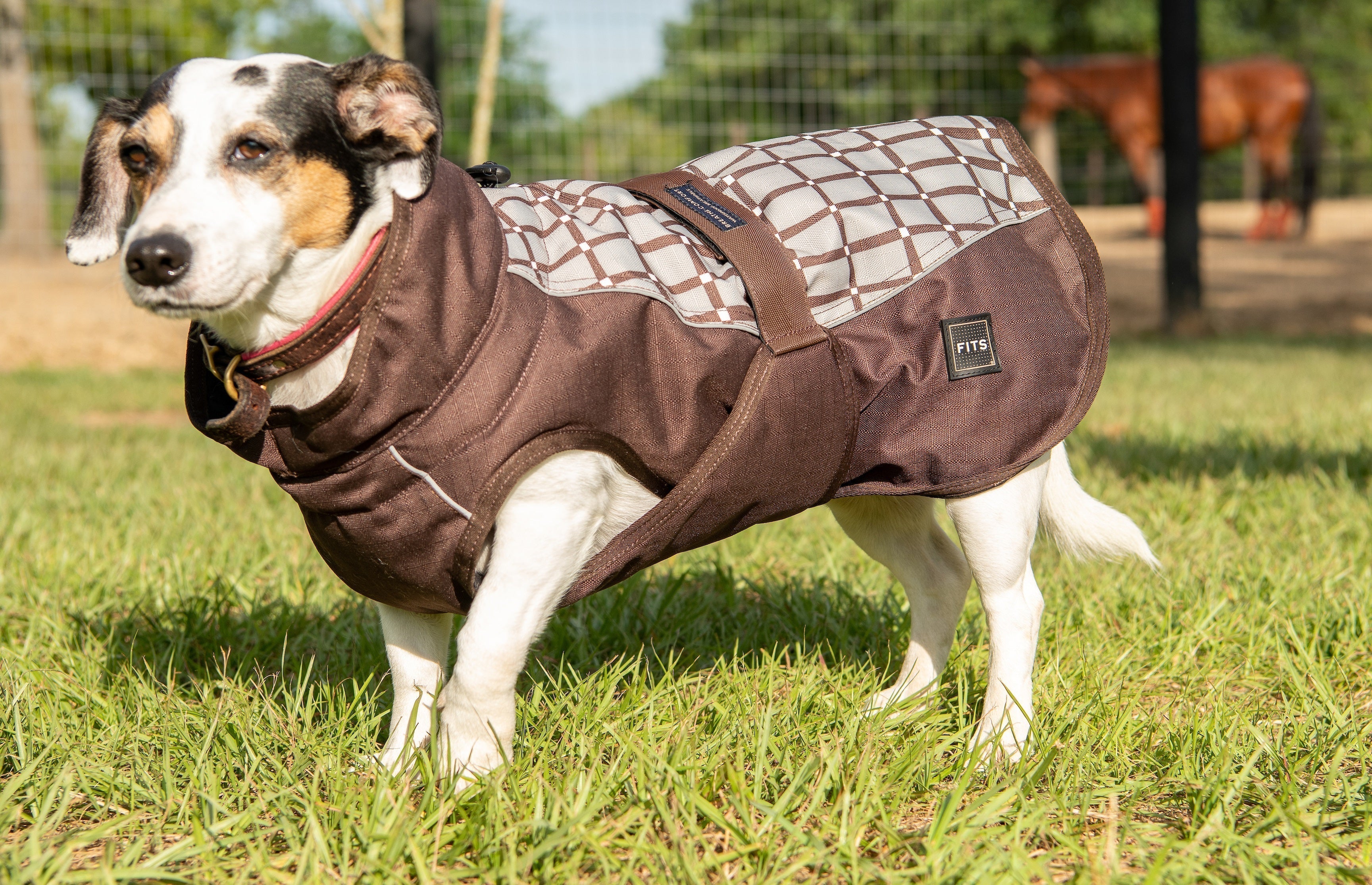 FITS All Weather Dog Coat - FITS Riding - Equiluxe Tack