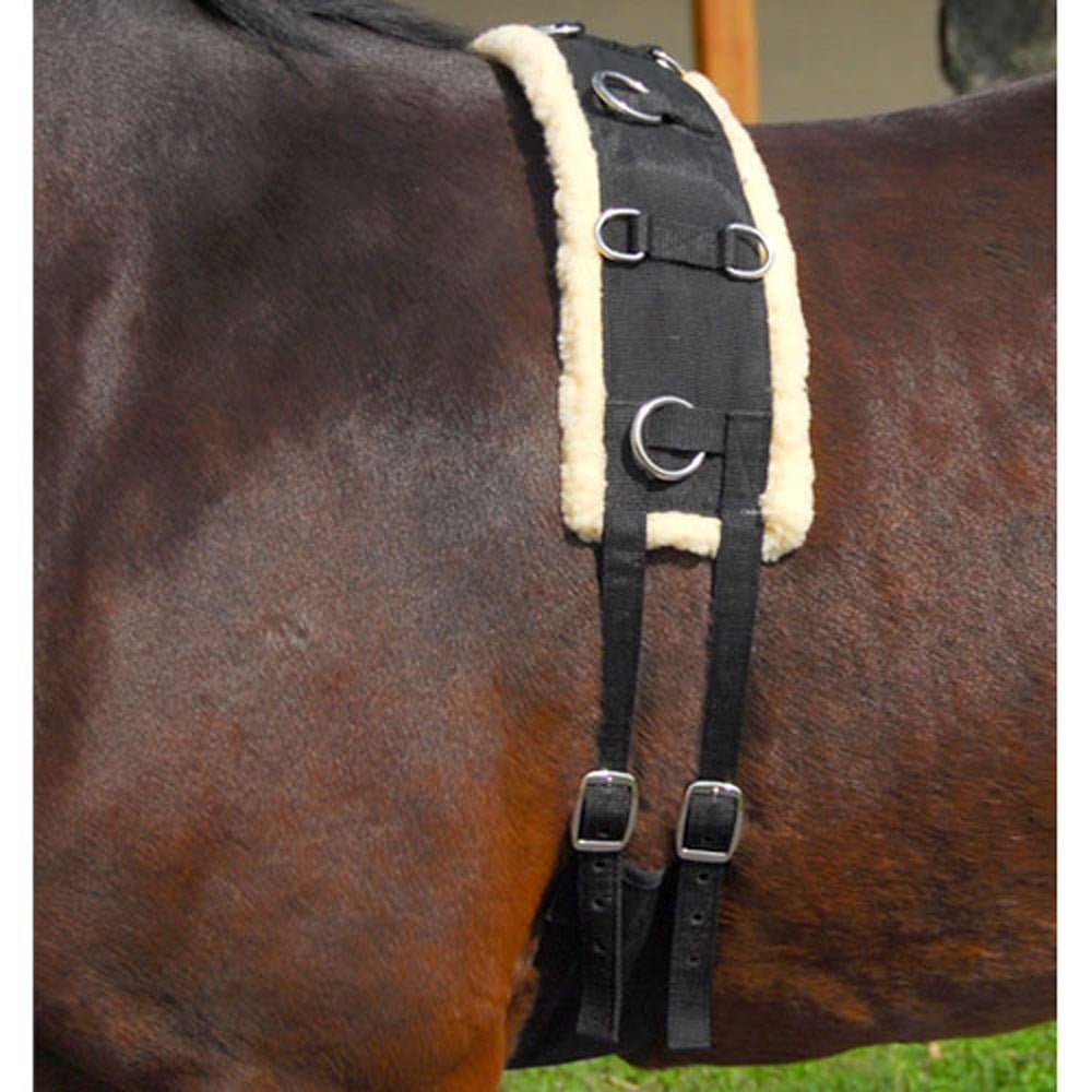 Fleece Lined Nylon Training Surcingle - Equiluxe Tack - Equiluxe Tack