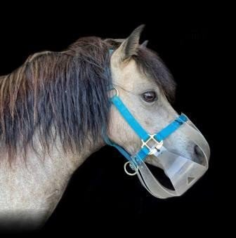 Flexible Filly Slow Feed Grazing Muzzle - Equiluxe Tack - Equiluxe Tack