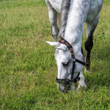 Flexible Filly Slow Feed Grazing Muzzle - Equiluxe Tack - Equiluxe Tack