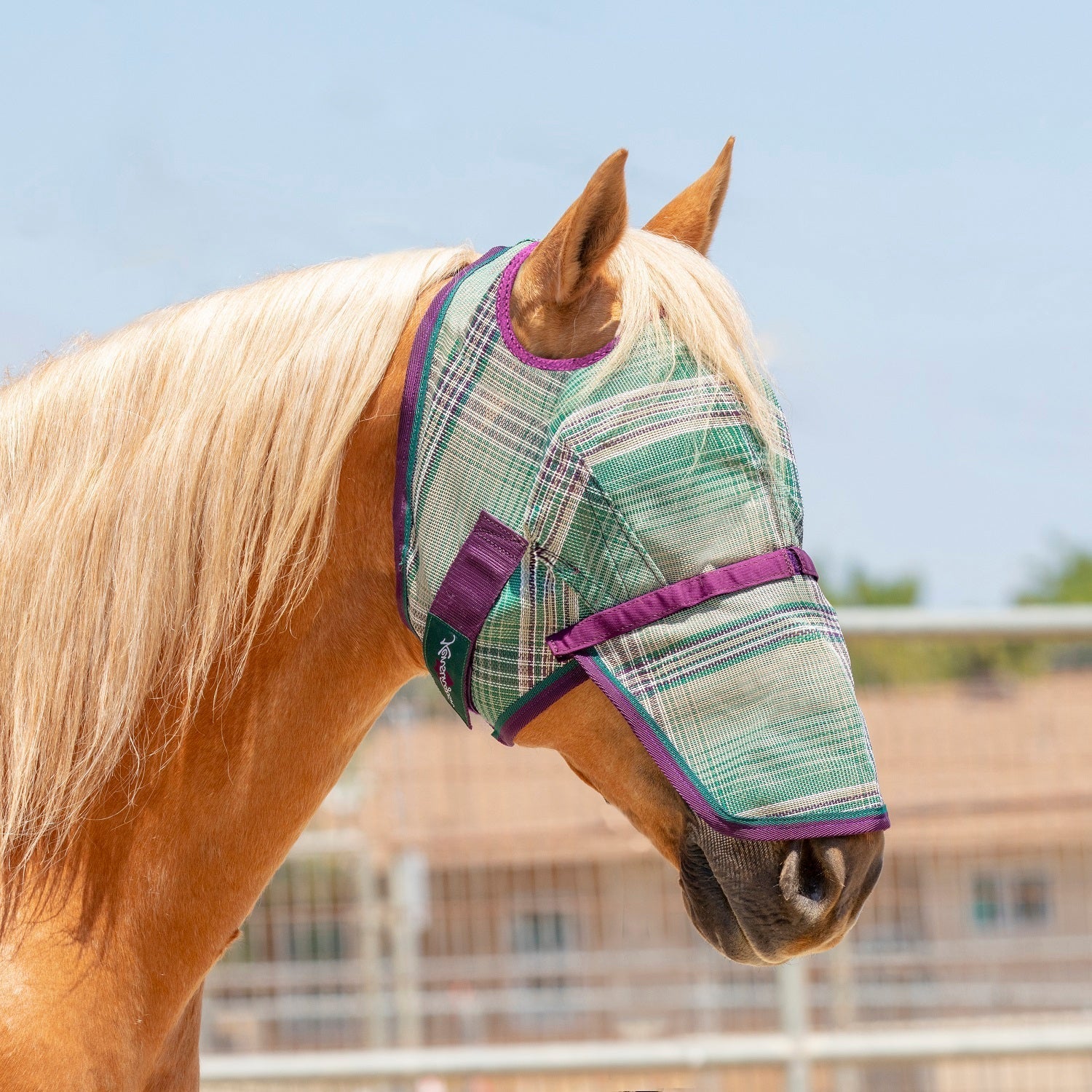 Fly Mask with Removable Nose - Dual Ear Holes - Kensington Protective Products - Equiluxe Tack