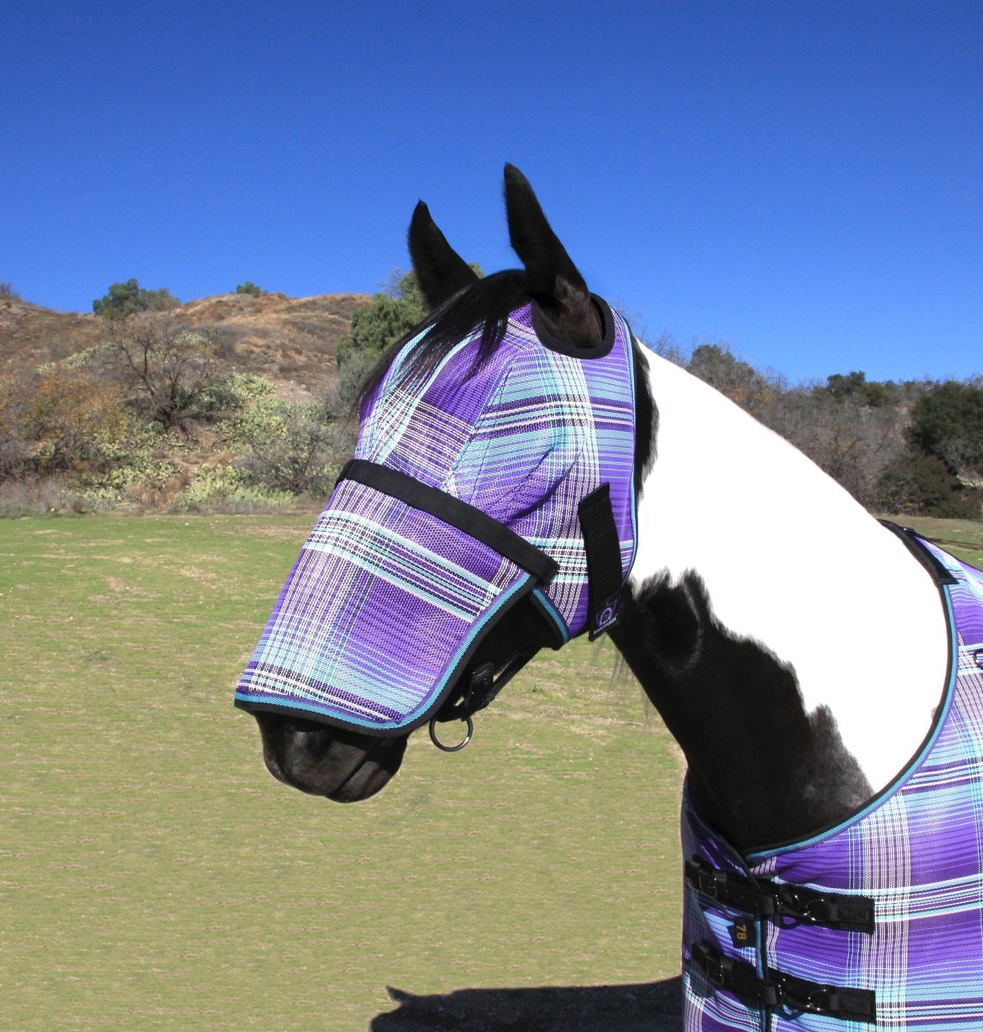 Fly Mask with Removable Nose - Dual Ear Holes - Kensington Protective Products - Equiluxe Tack