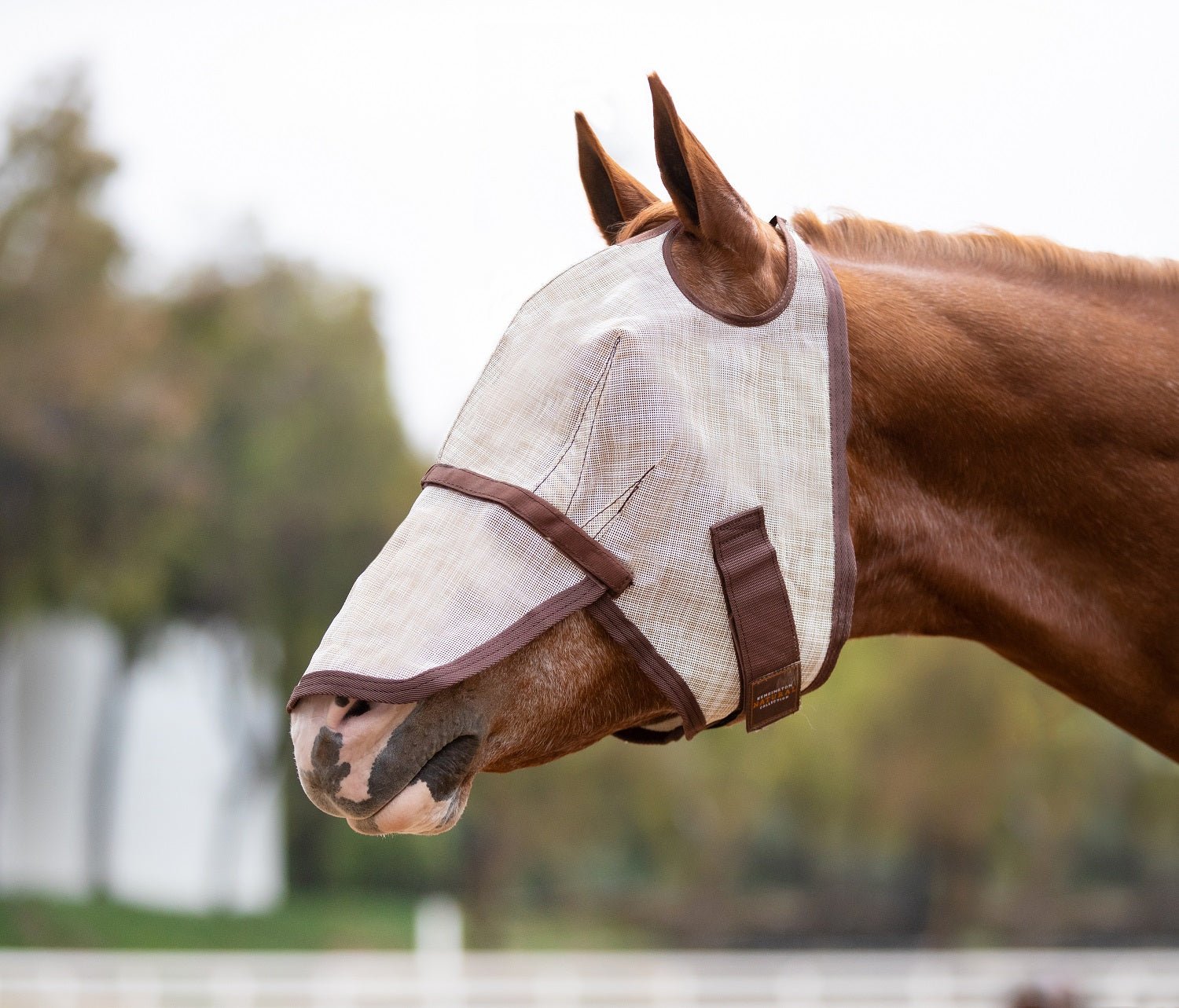 Fly Mask with Removable Nose - Dual Ear Holes - Kensington Protective Products - Equiluxe Tack