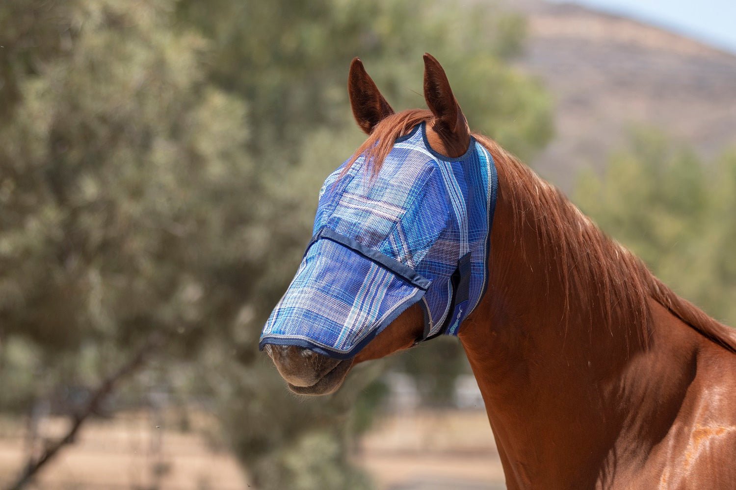 Fly Mask with Removable Nose - Dual Ear Holes - Kensington Protective Products - Equiluxe Tack