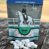 Funky Unicorn Gastric Support Antacid Chews - 7oz Mint - Equiluxe Tack - Equiluxe Tack