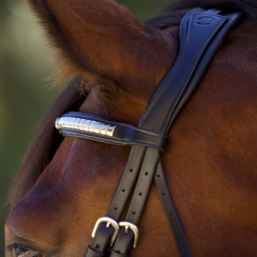 Galway Bridle - Wide Silver Clincher Jumper Bridle - Halter Ego® - Equiluxe Tack