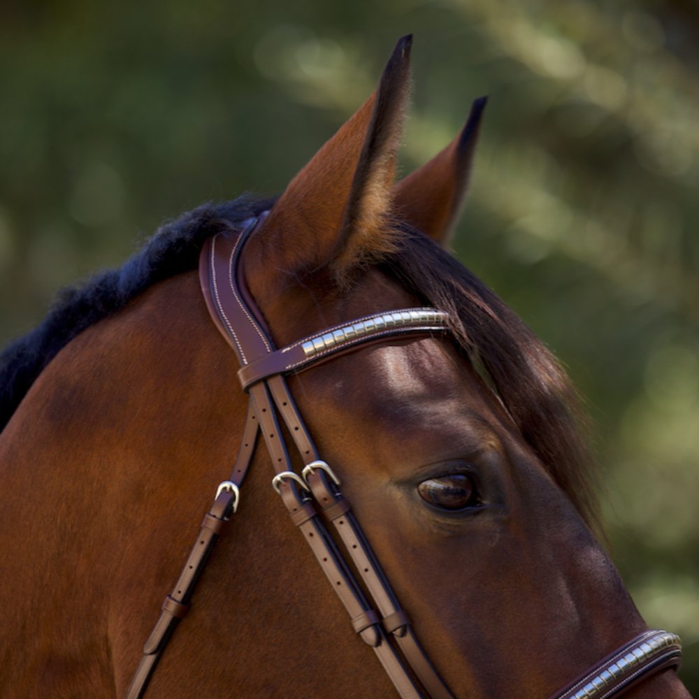 Galway Bridle - Wide Silver Clincher Jumper Bridle - Halter Ego® - Equiluxe Tack