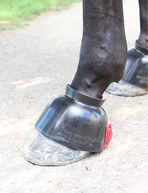 Gatorbootz Bell Boot - Equiluxe Tack - Equiluxe Tack