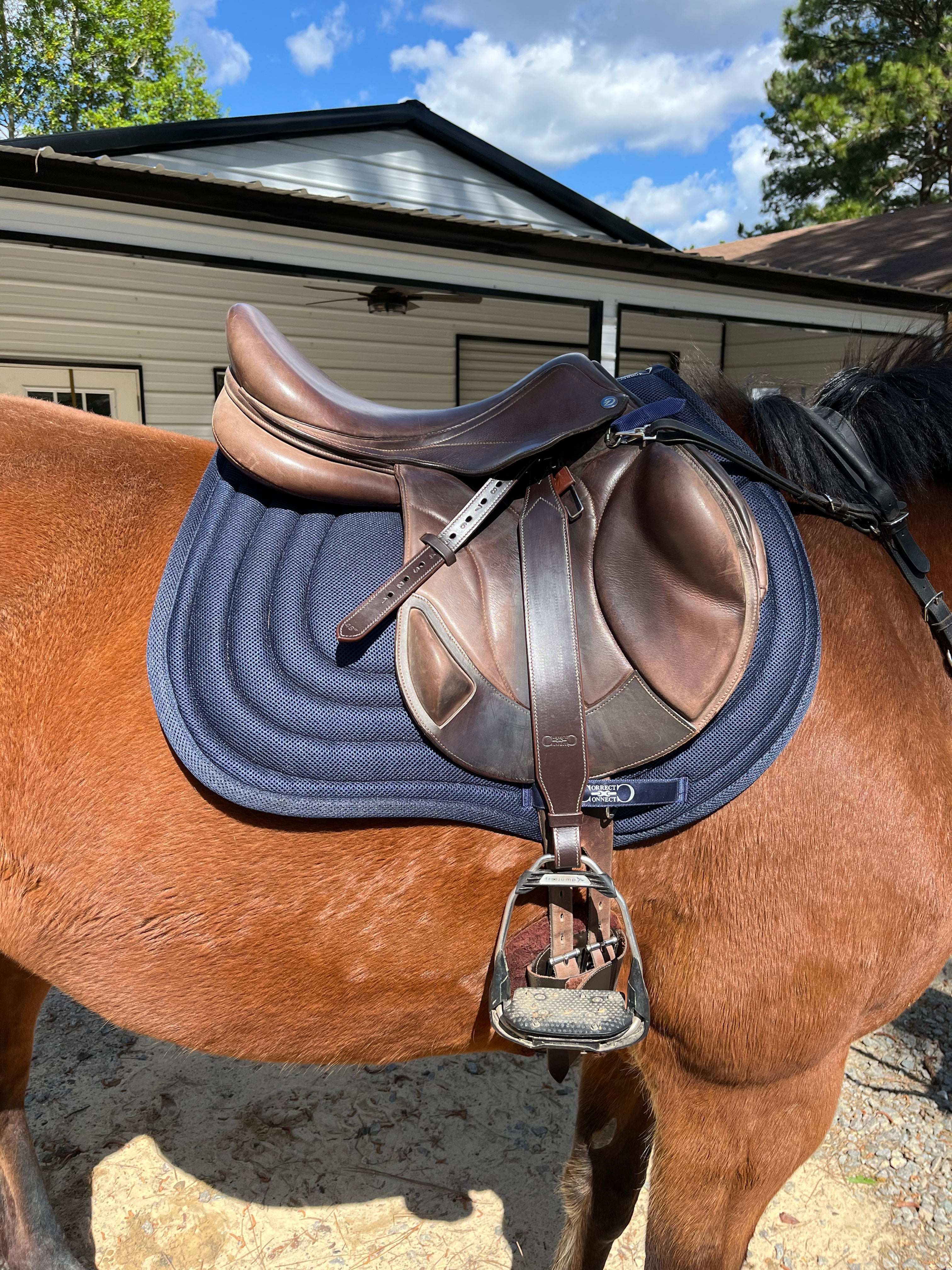 General Purpose Mesh Saddle Pad with Quick Dry Cotton Lining in Navy, White, or Black - CorrectConnect - Equiluxe Tack